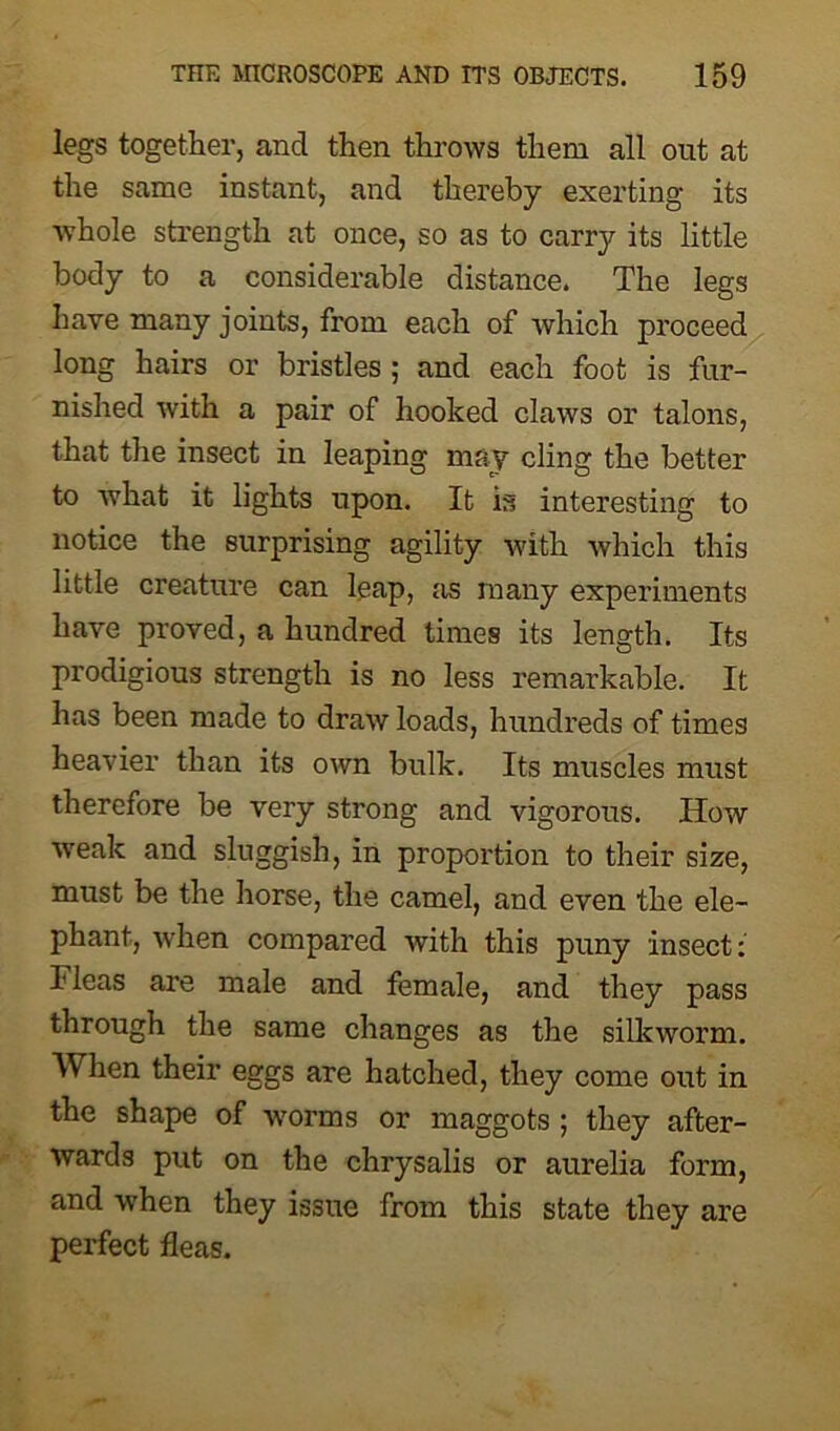 legs together, and then throws them all out at the same instant, and thereby exerting its whole strength at once, so as to carry its little body to a considerable distance. The legs have many joints, from each of which proceed long hairs or bristles ; and each foot is fur- nished with a pair of hooked claws or talons, that the insect in leaping may cling the better to what it lights upon. It is interesting to notice the surprising agility with which this little creature can leap, as many experiments have proved, a hundred times its length. Its prodigious strength is no less remarkable. It has been made to draw loads, hundreds of times heavier than its own bulk. Its muscles must therefore be very strong and vigorous. How weak and sluggish, in proportion to their size, must be the horse, the camel, and even the ele- phant, when compared with this puny insect: Ideas are male and female, and they pass through the same changes as the silkworm. When their eggs are hatched, they come out in the shape of worms or maggots ; they after- wards put on the chrysalis or aurelia form, and when they issue from this state they are perfect fleas.