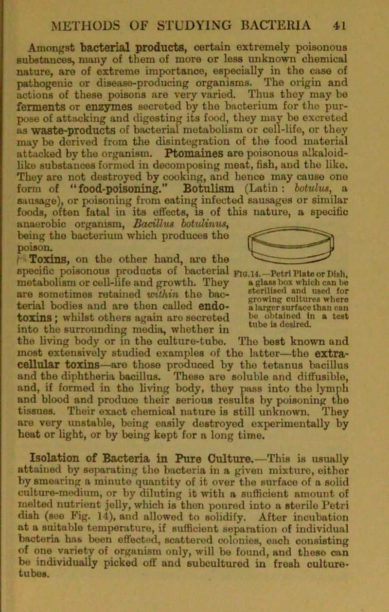 Amongst bacterial products, certain extremely poisonous substances, many of them of more or less unknown chemical nature, are of extreme importance, especially in the case of pathogenic or disease-producing organisms. The origin and actions of these poisons are very varied. Thus they may bo ferments or enzymes secreted by the bacterium for the pur- pose of attacking and digesting its food, they may be excreted as waste-products of bacterial metabolism or cell-life, or they may be derived from the disintegration of the food material attacked by the organism. Ptomaines are poisonous alkaloid- like substances formed in decomposing meat, fish, and the like. They are not destroyed by cooking, and hence may cause one form of “food-poisoning.” Botulism (Latin: botulus, a sausage), or poisoning from eating infected sausages or similar foods, often fatal in its effects, is of this nature, a specific anaerobic organism. Bacillus botulimis, being the bacterium which produces the poison. f-k Toxins, on the other hand, are the specific poisonous products of bacterial fig.14.—Petri Plate or Dish, metabolism or cell-life and growth. They a glws box which can bo are sometimes retained within the bac- terial bodies and are then called endo- toxins ; whilst others again are secreted into the surrounding media, whether in the living body or in the culture-tube. The best known and most extensively studied examples of the latter—the extra- cellular toxins—are those produced by the tetanus bacillus and the diphtheria bacillus. These are soluble and diffusible, and, if formed in the living body, they pass into the lymph and blood and produce their serious results by poisoning the tissues. Their exact chemical nature is still unknown. They are very unstable, being easily destroyed experimentally by heat or light, or by being kept for a long time. Eterilised and used for growing cultures where a larger surface than can be obtained in a test tube is desired. Isolation of Bacteria in Pure Culture.—This is usually attained by separating the bacteria in a given mixture, either by smearing a minute quantity of it over the surface of a solid culture-medium, or by diluting it with a sufficient amount of inelted nutrient jelly, which is then poured into a sterile Petri dish (see Fig. 14), and allowed to solidify. After incubation at a suitable temperature, if sufficient separation of individual bacteria has been effected, scattered colonies, each consisting of one variety of organism only, will be found, and these can be individually picked ofl’ and subcultured in fresh culture- tubes.