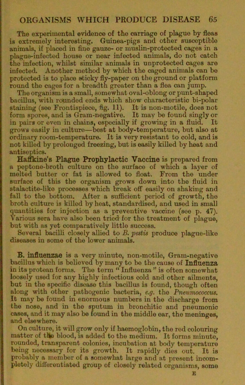 The experimental evidence of the carriage of plague by fleas is extremely interesting. Guinea-pigs and other susceptible animals, if placed in fine gauze- or muslin-protected cages in a plague-infected house or near infected animals, do not catch the infection, whilst similar animals in unprotected cages are infected. Another method by which the caged animals can be protected is to place sticky fly-paper on the ground or platform round the cages for a breadth greater than a flea can jump. The organism is a small, somewhat oval-oblong or punt-shaped bacillus, with rounded ends which show characteristic bi-polar staining (see Frontispiece, fig. 11). It is non-motile, does not form spores, and is Gram-negative. It may be found singly or in pairs or even in chains, especially if growing in a fluid. It grows easily in culture—best at body-temperature, but also at ordinary room-temperature. It is very resistant to cold, and is not killed by prolonged freezing, but is easily killed by heat and antiseptics. Ha.ffkine’s Plague Prophylactic Vaccine is prepared from a peptone-broth culture on the surface of which a layer of melted butter or fat is allowed to float. From the under surface of this the organism grows down into the fluid in stalactite-like processes which break off easily on shaking and fall to the bottom. After a sufficient period of growth, the broth culture is killed by heat, standardised, and used in small quantities for injection as a preventive vaccine (see p. 47). Various sera have also been tried for the treatment of plague, but with as yet comparatively little success. Several bacilli closely allied to B. pestis produce plague-liko diseases in some of the lower animals. B. influenzae is a very minute, non-motile, Gram-negative bacillus which is believed by many to be the cause of Influenza in its protean forms. The term “ Influenza ” is often somewhat loosely used for any highly infectious cold and other ailments, but in the specific disease this bacillus is found, though often along with other pathogenic bacteria, e.g. the Pneumococcus. It may be found in enormous numbers in the discharge from the nose, and in the sputum in bronchitic and pneumonic cases, and it may also be found in the middle oar, the meninges, and elsewhere. On culture, it will grow only if haemoglobin, the red colouring matter of the blood, is added to the medium. It forms minute, rounded, transparent colonies, incubation at body temperature being necessary for its growth. It rapidly dies out. It is probably a member of a somewhat large and at present incom- pletely differentiated group of closely related organisms, some E