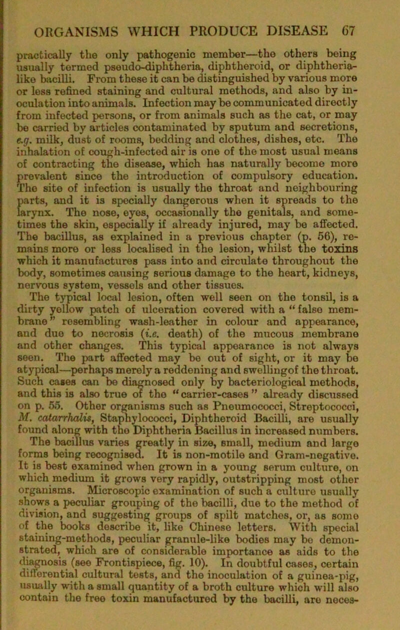 practically the only pathogenic member—the others being usually termed pseudo-diphtheria, diphtheroid, or diphtheria- like bsicilli. From these it can be distinguished by various more or less refined staining and cultural methods, and also by in- oculation into animals. Infection may be communicated directly from infected persons, or from animals such as the cat, or may bo carried by articles contaminated by sputum and secretions, e.g. milk, dust of rooms, bedding and clothes, dishes, etc. The inhalation of cough-infected air is one of the most usual means of contracting the disease, which has naturally become more prevalent since the introduction of compulsory education. The site of infection is usually the throat and neighbouring i)arts, and it is specially dangerous when it spreads to the arynx. The nose, eyes, occasionally the genitals, and some- times the skin, especially if already injured, may be affected. The bacillus, as explained in a previous chapter (p. 66), re- mains more or less locaUsed in the lesion, whilst the toxins which it manufactures pass into and circulate throughout the body, sometimes causing serious damage to the heart, kidneys, nervous system, vessels and other tissues. The typical local lesion, often well seen on the tonsil, is a dirty yellow patch of ulceration covered with a “ false mem- brane” resembling wash-leather in colour and appearance, and duo to necrosis (i.e. death) of the mucous membrane and other changes. This typical appearance is not always seen. The part affected may be out of sight, or it may be atypical—perhaps merely a reddening and swellingof the throat. Such cases can be diagnosed only by bacteriological methods, and this is also true of the “ carrier-cases ” already discussed on p. 55. Other organisms such as Pneumococci, Streptococci, M, catarrhcUis, Sta^ylococci, Diphtheroid Bacilli, are usually found along with the Diphtheria Bacillus in increased numbers. The bacillus varies greatly in size, small, medium and large forms being recognised. It is non-raotile and Gram-negative. It is best examined when grown in a young serum culture, on which medium it grows very rapidly, outstripping most other organisms. Microscopic examination of such a culture usually shows a peculiar grouping of the bacilli, due to the method of division, and suggesting groups of spilt matches, or, as some of the books describe it, like Chinese letters. With special staining-methods, peculiar granule-like bodies may bo demon- strated, which are of considerable importance as aids to the fii^nosis (see Frontispiece, fig. 10). In doubtful cases, certain differential cultural tests, and the inoculation of a guinea-pig, usually anth a small quantity of a broth culture which will also contain the free toxin manufactured by the bacilli, are neces-