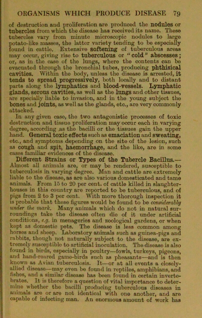of destruction and proliferation are produced the nodules or tubercles from which the disease has received its name. These tubercles vary from minute microscopic nodules to large potato-like masses, the latter variety tending to be especiafly found in cattle. Extensive softemng of tuberculous areas may occur, giving rise to tuberculous or  cold ” abscesses; or, as in the case of the lungs, where the contents can be evacuated through the bronchial tubes, producing phthisical cavities. Within the body, unless the disease is arrested, it tends to spread progressively, both locally and to distant parts along the lymphatics and blood-vessels. Lymphatic glands, serous cavities, as well as the lungs and other tissues, are specially liable to invasion, and in the young subject the bones and joints, as well as the glands, etc., are very commonly attacked. In any given case, the two antagonistic processes of toxic destruction and tissue proliferation may occur each in varying degree, according ns the bacilli or the tissues gain the upper hand. General toxic effects such as emaciation and sweating, etc., and symptoms depending on the site of the lesion, such as cough and spit, haemorrhage, and the like, are in some cases familiar evidences of the disease. Different Strains or Types of the Tubercle Bacillus.— Almost all animals are, or may bo rendered, susceptible to tuberculosis in varying degree. Man and cattle are extremely liable to the disease, as are also various domesticated and tame animals. From 15 to 20 per cent, of cattle killed in slaughter- houses in this country are reported to be tuberculous, and of pigs from 2 to 3 por cent. With more thorough inspection it is probable that these figures would be found to be considerably under the mark. Many animals which do not in natural sur- roundings take the disease often die of it under artificial conditions, e.g. in menageries and zoological gardens, or when kept as domestic pets. The disease is leas common among horses and sheep. Laboratory animals such as guinea-pigs and rabbits, though not naturally subject to the disease, are ex- tremely susceptible to artificial inoculation. The disease is also found in birds, especially in poultry—fowls, turkeys, pigeons, and hand-roared game-birds such as pheasants—and is then known as Avian tuberculosis. It—or at all events a closely- allied disease-—may even be found in reptiles, amphibians, and fishes, and a similar disease has been found in certain inverte- brates. It is therefore a question of vital importance to deter- mine whether the bacilli producing tuberculous diseases in animals are or are not identical with one another, and are capable of infecting man. An enormous amount of work has