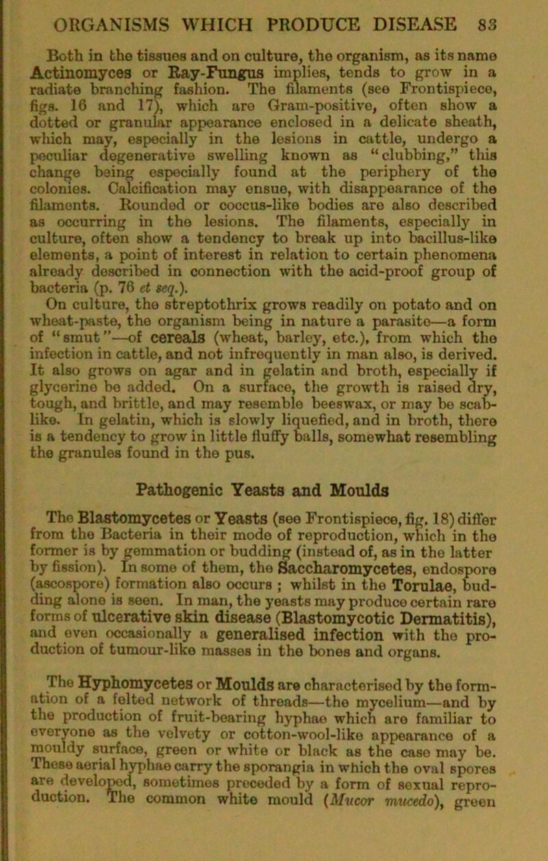 Both in the tissues and on culture, the organism, as its name Actinomyces or Ray-Fungus implies, tends to grow in a radiate branching fashion. The filaments (see Frontispiece, figs. 16 and 17), wliich are Gram-positive, often show a dotted or granular appearance enclosed in a delicate sheath, wliich may, especially in the lesions in cattle, undergo a peculiar degenerative swelling known as “ clubbing,” tliis change being especially found at the periphery of the colonies. Calcification may ensue, with disappearance of the filaments. Rounded or coccus-like bodies are also described as occurring in the lesions. The filaments, especially in culture, often show a tendency to break up into bacillus-like elements, a point of interest in relation to certain phenomena already described in connection with the acid-proof group of bacteria (p. 76 et seq.). On culture, the streptothrix grows readily on potato and on wheat-paste, the organism being in nature a parasite—a form of “smut”—of cereals (wheat, barley, etc.), from which the infection in cattle, and not infrequently in man also, is derived. It also grows on agar and in gelatin and broth, especially if glycerine be added. On a surface, the growth is raised dry, tough, and brittle, and may resemble beeswax, or may be sca^ like. In gelatin, which is slowly liquefied, and in broth, there is a tendency to grow in little fluffy balls, somewhat resembling the granules found in the pus. Pathogenic Yeasts and Moulds The Blastomycetes or Yeasts (see Frontispiece, fig. 18) differ from the Bacteria in their mode of reproduction, which in the former is by gemmation or budding (instead of, as in the latter by fission). In sonae of them, the ^ccharomycetes, endospore (ascospore) formation also occurs ; whilst in the Tomlae, bud- ding alone is seen. In man, the yeasts may produce certain rare forms of ulcerative skin disease (Blastomycotic Dermatitis), and even occasionally a generalised infection with the pro- duction of tumour-hke masses in the bones and organs. The Hyphomycetes or Moulds are characterised by the form- ation of a felted network of threads—the mycelium—and by the production of fruit-bearing hyphae which are familiar to everyone as the velvety or cotton-wool-like appearance of a mouldy surface, green or white or black as the case may be. These aerial hyphae carry the sporangia in which the oval spores are developed, sometimes preceded by a form of sexual repro- duction. The common white mould (Mttcor mucedo), green