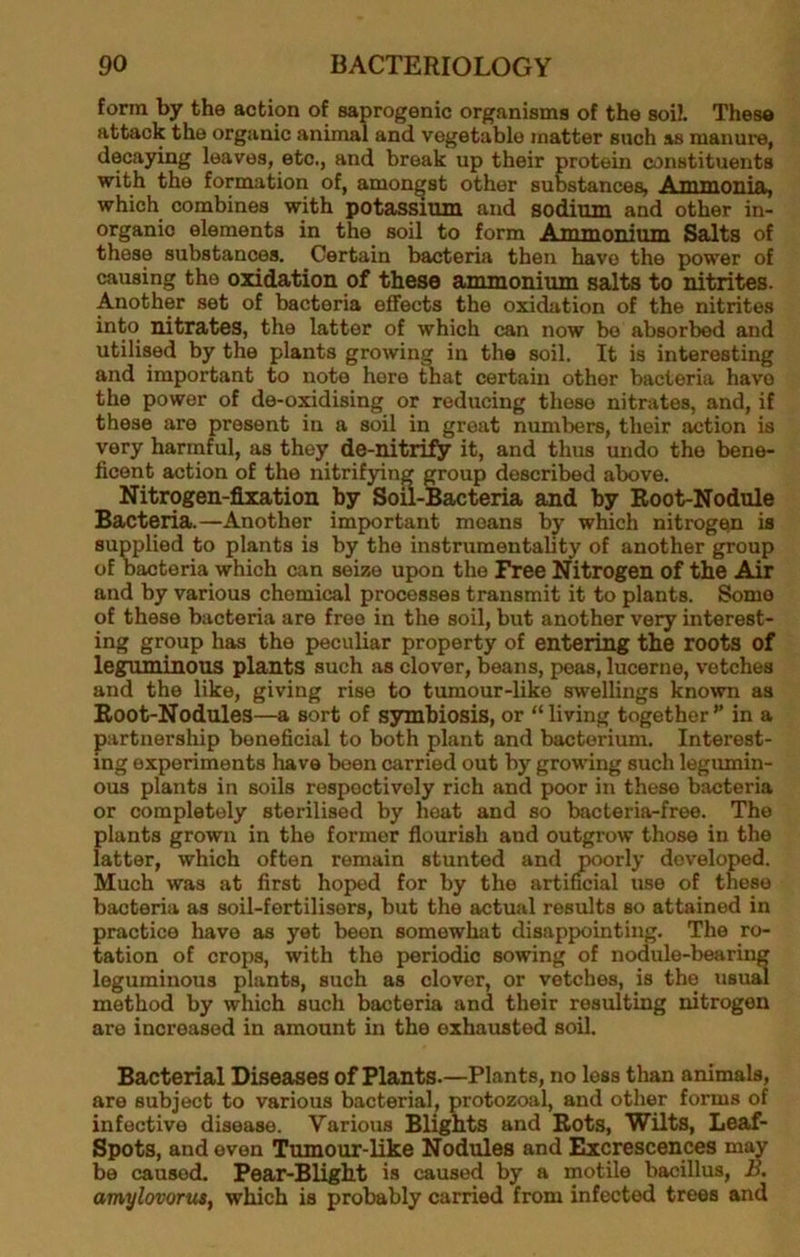 form by the action of saprogenic organisms of the soi!. These attack the organic animal and vegetable matter such as manure, decaying leaves, etc., and break up their protein constituents with the formation of, amongst other substances, Ammonia, which combines with potassium and sodium and other in- organio elements in the soil to form Ammonium Salts of these substances. Certain bacteria then have the power of causing the oxidation of these ammonium salts to nitrites. Another set of bacteria effects the oxidation of the nitrites into nitrates, the latter of which can now be absorbed and utilised by the plants growing in the soil. It is interesting and important to note here that certain other bacteria have the power of de-oxidising or reducing these nitrates, and, if these are present in a soil in great numbers, their action is very harmful, as they de-nitrify it, and thus undo the bene- ficent action of the nitrifying group described above. Nitrogen-fixation by Sou-Bacteria and by Root-Nodule Bacteria.—Another important moans by which nitrogen is supplied to plants is by the instrumentality of another group of bacteria which can seize upon the Free Nitrogen of the Air and by various chemical processes transmit it to plants. Some of these bacteria are free in the soil, but another very interest- ing group has the peculiar property of entering the roots of leguminous plants such as clover, beans, peas, lucerne, vetches and the like, giving rise to tumour-like swellings known as Root-Nodules—a sort of symbiosis, or “living together’’ in a partnership beneficial to both plant and bacterium. Interest- ing experiments have been carried out by growing such legumin- ous plants in soils respectively rich and poor in these bacteria or completely sterilised by heat and so bacteria-free. The plants grown in the former flourish and outgrow those in the latter, which often remain stunted and poorly developed. Much was at first hoped for by the artincial use of those bacteria as soil-fertilisers, but the actual results so attained in practice have as yet been somewhat disappointing. The ro- tation of crops, with the periodic sowing of nodule-bearing leguminous plants, such as clover, or vetches, is the usual method by which such bacteria and their resulting nitrogen are increased in amount in the exhausted soil. Bacterial Diseases of Plants.—Plants, no less than animals, are subject to various bacterial, protozoal, and other forms of infective disease. Various Blights and Rots, Wilts, Leaf- Spots, and even Tumour-like Nodules and Excrescences m^ be caused. Pear-Blight is caused by a motile bacillus, B. amylovorus, which is probably carried from infected trees and