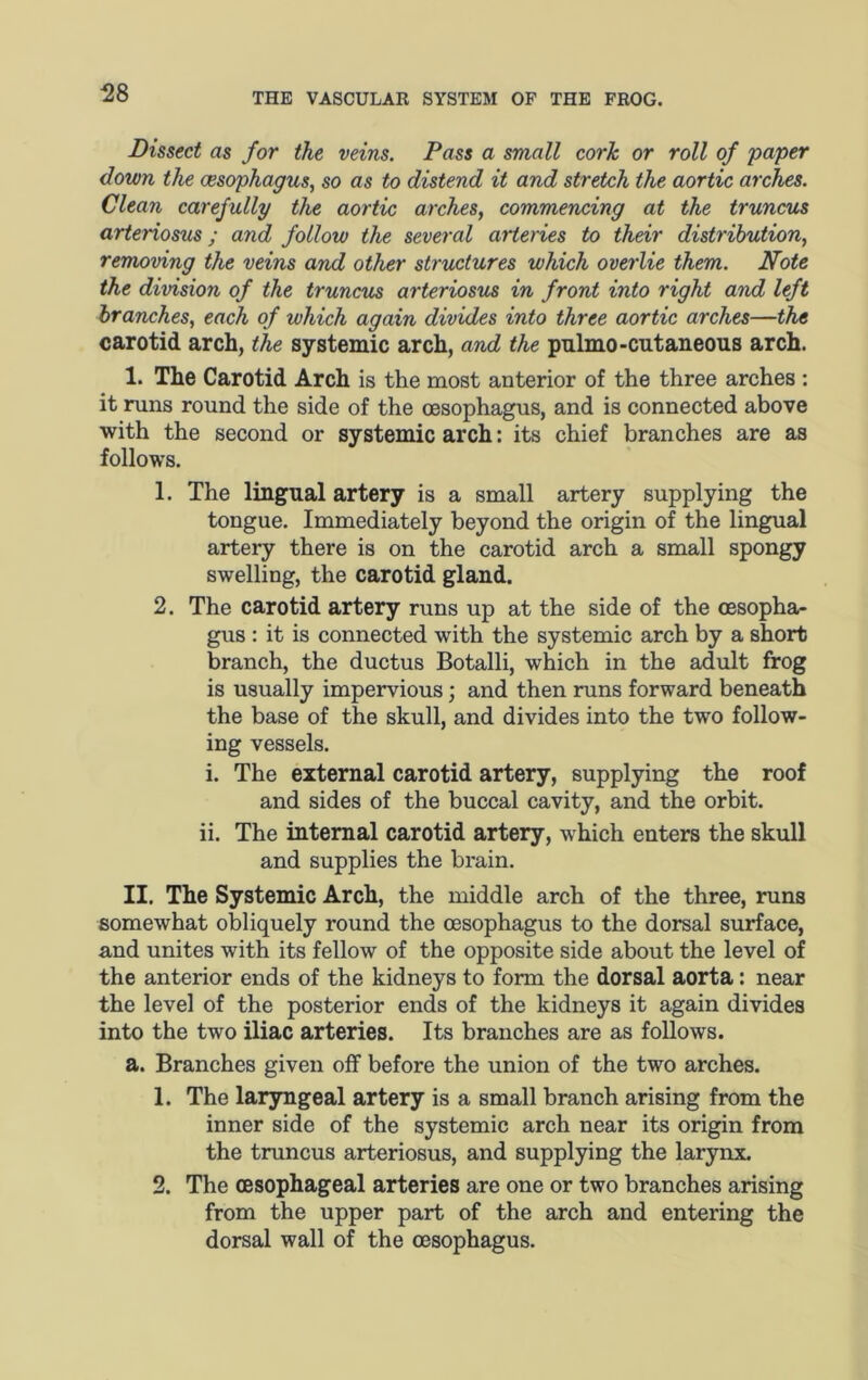 Dissect as for the veins. Pass a small cork or roll of paper down the (esophagus, so as to distend it and stretch the aortic arches. Clean carefully the aortic arches, commencing at the truneus arteriosus; and follow the several arteries to their distribution, removing the veins and other structures which overlie them. Note the division of the truneus arteriosus in front into right and left branches, each of which again divides into three aortic arches—the carotid arch, the systemic arch, and the pulmo-cntaneous arch. I. The Carotid Arch is the most anterior of the three arches : it runs round the side of the oesophagus, and is connected above with the second or systemic arch: its chief branches are as follows. 1. The lingual artery is a small artery supplying the tongue. Immediately beyond the origin of the lingual artery there is on the carotid arch a small spongy swelling, the carotid gland. 2. The carotid artery runs up at the side of the oesopha- gus : it is connected with the systemic arch by a short branch, the ductus Botalli, which in the adult frog is usually impervious; and then runs forward beneath the base of the skull, and divides into the two follow- ing vessels. i. The external carotid artery, supplying the roof and sides of the buccal cavity, and the orbit. ii. The internal carotid artery, which enters the skull and supplies the brain. II. The Systemic Arch, the middle arch of the three, runs somewhat obliquely round the oesophagus to the dorsal surface, and unites with its fellow of the opposite side about the level of the anterior ends of the kidneys to form the dorsal aorta: near the level of the posterior ends of the kidneys it again divides into the two iliac arteries. Its branches are as follows. a. Branches given off before the union of the two arches. 1. The larjmgeal artery is a small branch arising from the inner side of the systemic arch near its origin from the truneus arteriosus, and supplying the larynx. 2. The (Esophageal arteries are one or two branches arising from the upper part of the arch and entering the dorsal wall of the oesophagus.