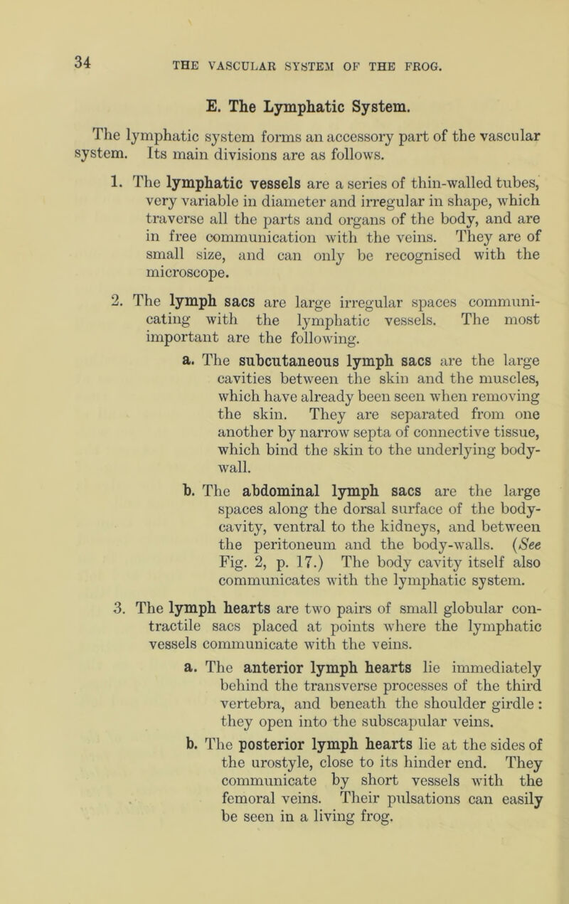E. The Lymphatic System. The lymphatic system forms an accessory part of the vascular system. Its main divisions are as follows. 1. The lymphatic vessels are a series of thin-walled tubes, very variable in diameter and irregular in shape, which traverse all the parts and organs of the body, and are in free communication with the veins. They are of small size, and can only be recognised with the microscope. 2. The lymph sacs are large irregular spaces communi- cating with the lymphatic vessels. The most important are the following. a. The subcutaneous lymph sacs are the large cavities between the skin and the muscles, which have already been seen when removing the skin. They are separated from one another by narrow septa of connective tissue, which bind the skin to the underlying body- wall. h. The abdominal lymph sacs are the large spaces along the dorsal surface of the body- cavity, ventral to the kidneys, and between the peritoneum and the body-walls. {See Fig. 2, p. 17.) The body cavity itself also communicates with the lymphatic system. 3. The lymph hearts are two pairs of small globular con- tractile sacs placed at points where the lymphatic vessels communicate with the veins. a. The anterior lymph hearts lie immediately behind the transverse processes of the third vertebra, and beneath the shoulder girdle: they open into the subscapular veins. b. The posterior lymph hearts lie at the sides of the urostyle, close to its hinder end. They communicate by short vessels with the femoral veins. Their pulsations can easily be seen in a living frog.