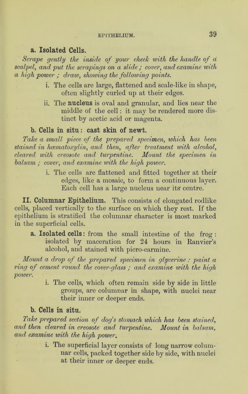 a. Isolated Cells. Scrape gently the inside of your cheek with the handle of a scalpel, and put the scrapings on a slide ; cover, and examine with a high power ; dravj, showing the following points. i. The cells are large, flattened and scale-like in shape, often slightly curled up at their edges. ii. The nucleus is oval and granular, and lies near the middle of the cell; it may be rendered more dis- tinct by acetic acid or magenta. b. Cells in situ: cast skin of newt. Take a small piece of the prepared specimen, which has heen stained in hcematoxylin, and then, after treatment with alcohol, cleared with creosote and turpentine. Mount the specimen in balsam ; cover, and examine with the high power. i. The cells are flattened and fitted together at their edges, like a mosaic, to form a continuous layer; Each cell has a large nucleus near itS’ centre. II. Columnar Epithelium. This consists of elongated rodlike cells, placed vertically to the surface on which they rest. If the epithelium is stratified the columnar character is most marked in the superficial cells. a. Isolated cells: from the small intestine of the frog : isolated by maceration for 24 hours in Ranvier’s alcohol, and stained with picro-carmine. Mount a drop of the prepared specimen in glycerine : paint a ring of cement round the cover-glass ; and examine with the high power. i. The cells, which often remain side by side in little groups, are columnar in shape, with nuclei near their inner or deeper ends. b. Cells in situ. Take prepared section of dtog's stomach which has been stamed, and then cleared in creosote and turpentine. Mount in balsam, and examine with the high power. i. The superficial layer consists of long narrow colum- nar cells, packed together side by side, with nuclei at their inner or deeper ends.