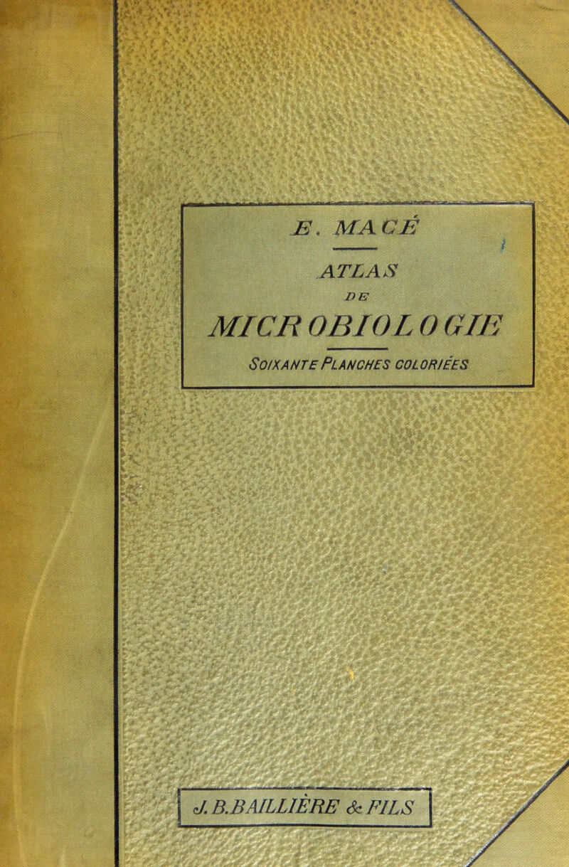 B, MA CÉ { ATLAS DE MI CR OBIOL 0 GIE Soixante Planches coloriées fai “iî J* .. > mm *■ é'1 ***