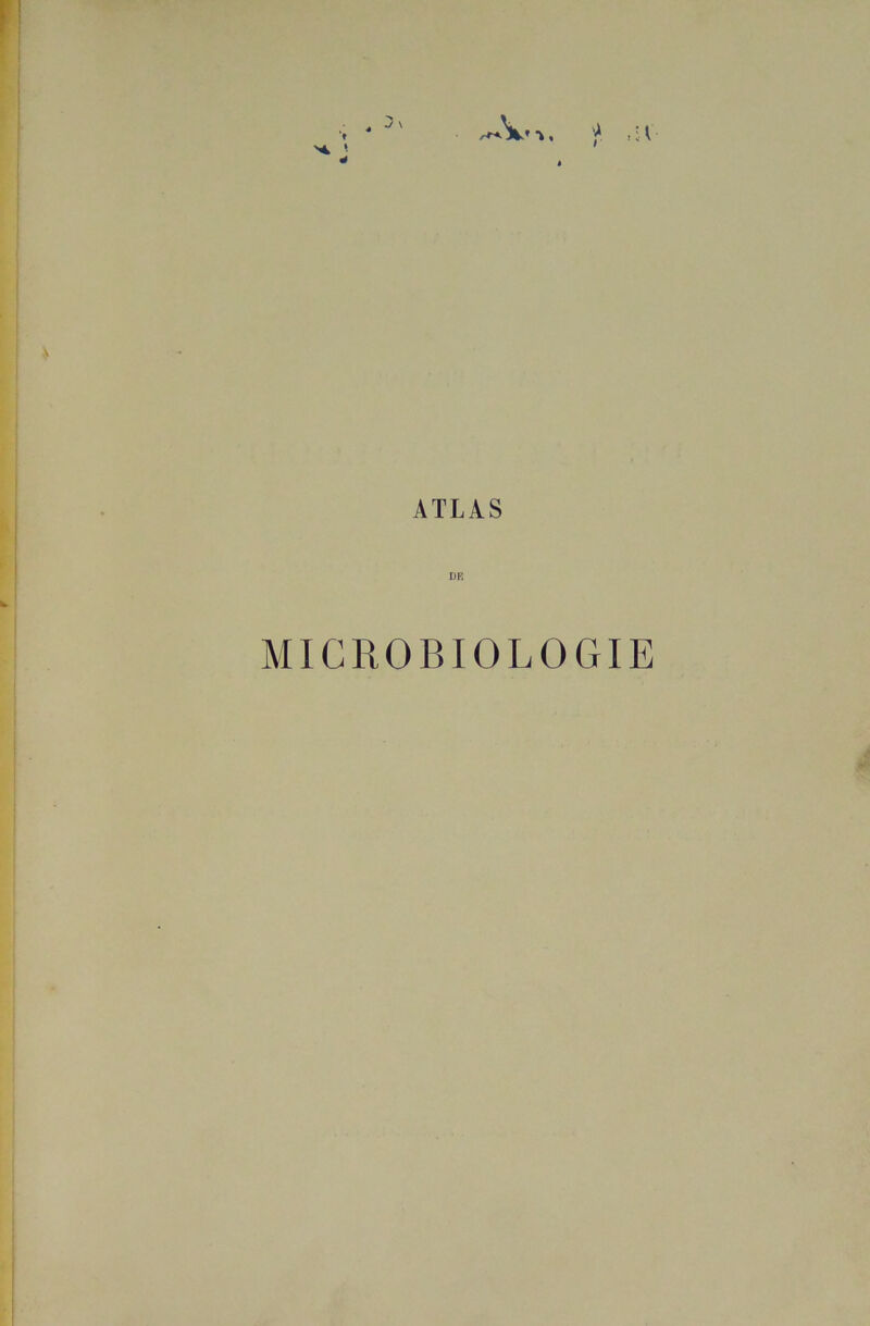 ATLAS DE MICROBIOLOGIE
