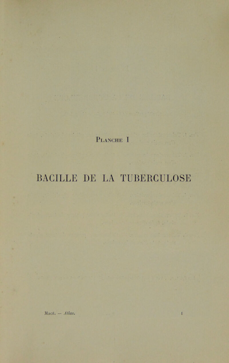 BACILLE DE LA TUBERCULOSE Macé. — Atlas.