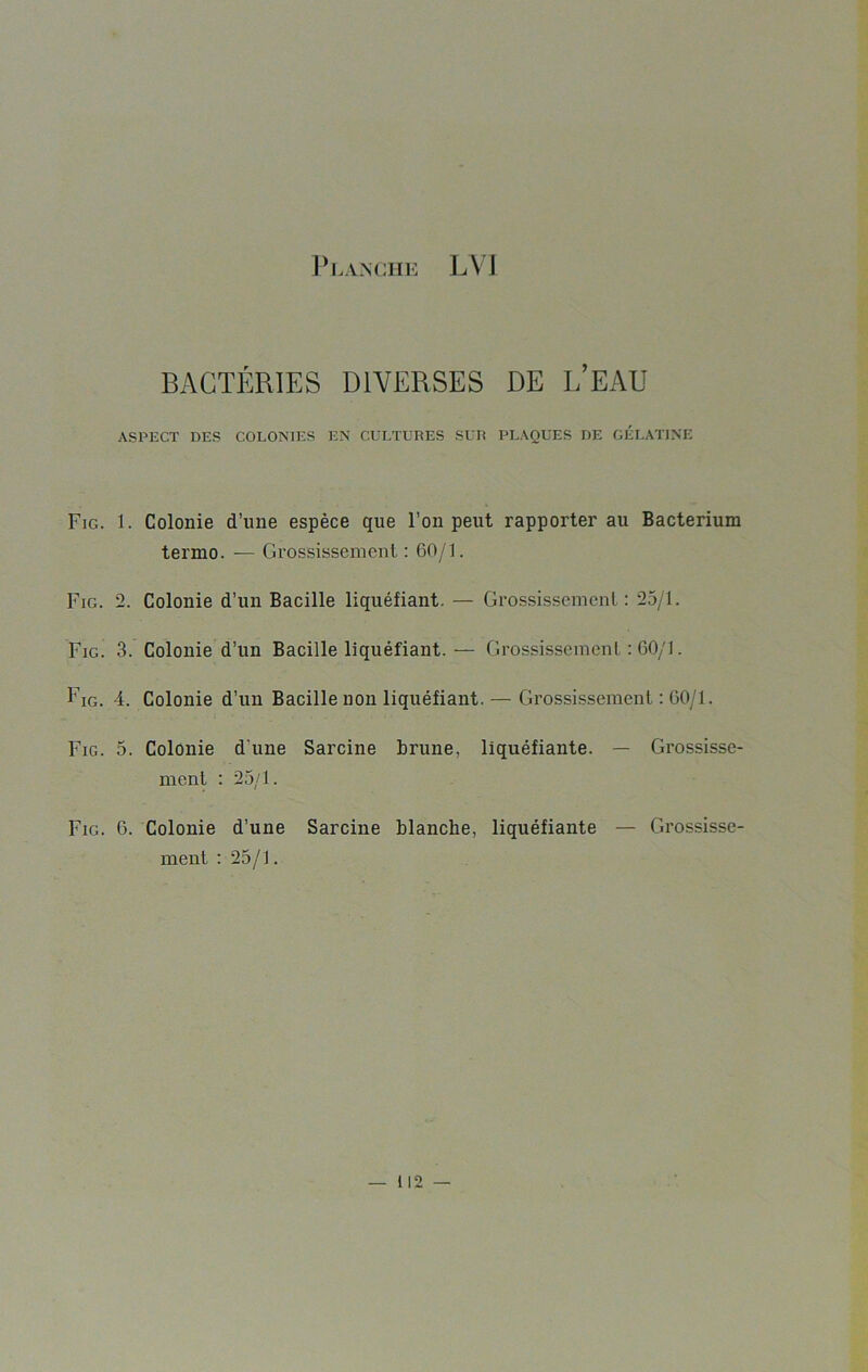 BACTÉRIES DIVERSES DE L’EAU ASPECT DES COLONIES EN CULTURES SUR PLAQUES DE GÉLATINE Fig. 1. Colonie d’une espèce que l’on peut rapporter au Bacterium termo. — Grossissement : 60/1. Fig. 2. Colonie d’un Bacille liquéfiant. — Grossissement: 25/1. Fig. 3. Colonie d’un Bacille liquéfiant.— Grossissement : 60/1. Fig. 4. Colonie d’un Bacille non liquéfiant. — Grossissement : 60/1. Fig. 5. Colonie d'une Sarcine brune, liquéfiante. — Grossisse- ment : 25/1. Fig. 6. Colonie d’une Sarcine blanche, liquéfiante — Grossisse- ment : 25/1. 112 —
