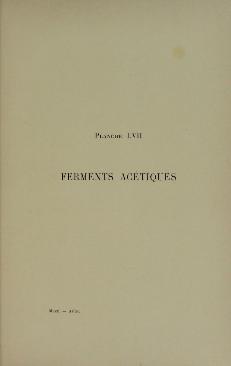 FERMENTS ACÉTIQUES