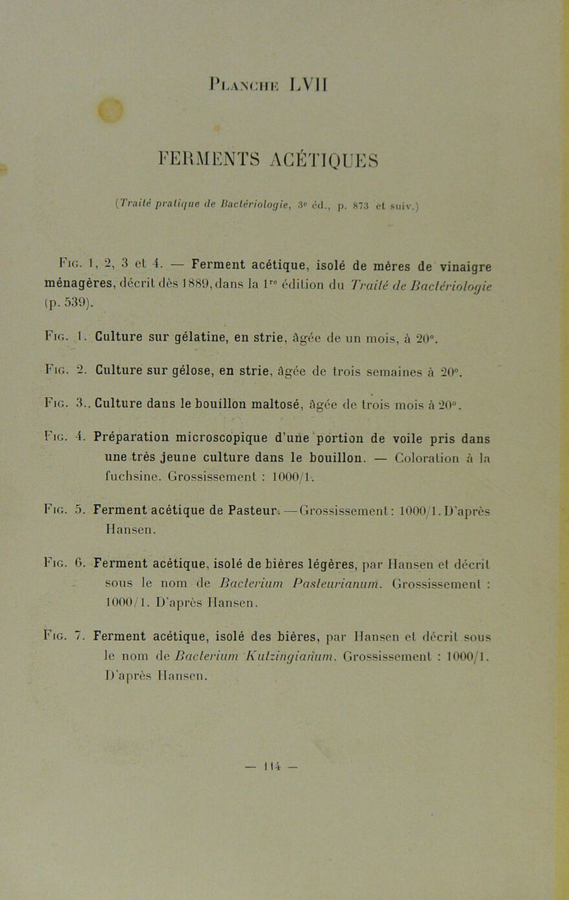l’i.ANCHI! J,VII FERMENTS ACÉTIQUES (Traité pratique de Bactériologie, 3« éd., p. 873 et suiv.) I'ig. 1, -, 3 et 4. — Ferment acétique, isolé de mères de vinaigre ménagères, décrit dès 1889, dans la lre édition du Traité de Bactériologie (p. 539). Fig. 1. Culture sur gélatine, en strie, âgée de un mois, à 20°. Fig. 2. Culture sur gélose, en strie, âgée de trois semaines à 20°. Fig. 3.. Culture dans le bouillon maltosé, âgée de trois mois à 20°. Fig. 4. Préparation microscopique d’une portion de voile pris dans une très jeune culture dans le bouillon. — Coloration à la fuchsine. Grossissement : 1000/1. Fig. 5. Ferment acétique de Pasteur.— Grossissement : 1000 1. D’après Hansen. Fig. 6. Ferment acétique, isolé de bières légères, par Hansen et décrit sous le nom de Baclerimn Pasleiirianum. Grossissement : 1000/1. D'après Hansen. Fig. 7. Ferment acétique, isolé des bières, par Hansen et décrit sous le nom de Baclerium Kidzingianam. Grossissement : 1000/1. D’après Hansen. 114 -