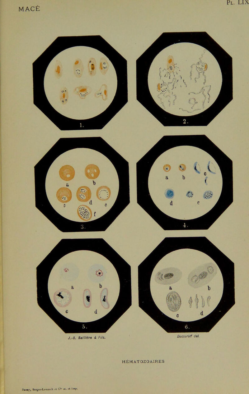J.-B. Baillière &. Fils. DootorolF del HÉMATOZOAIRES >«ncr, ri C,# te. «* »IBP*