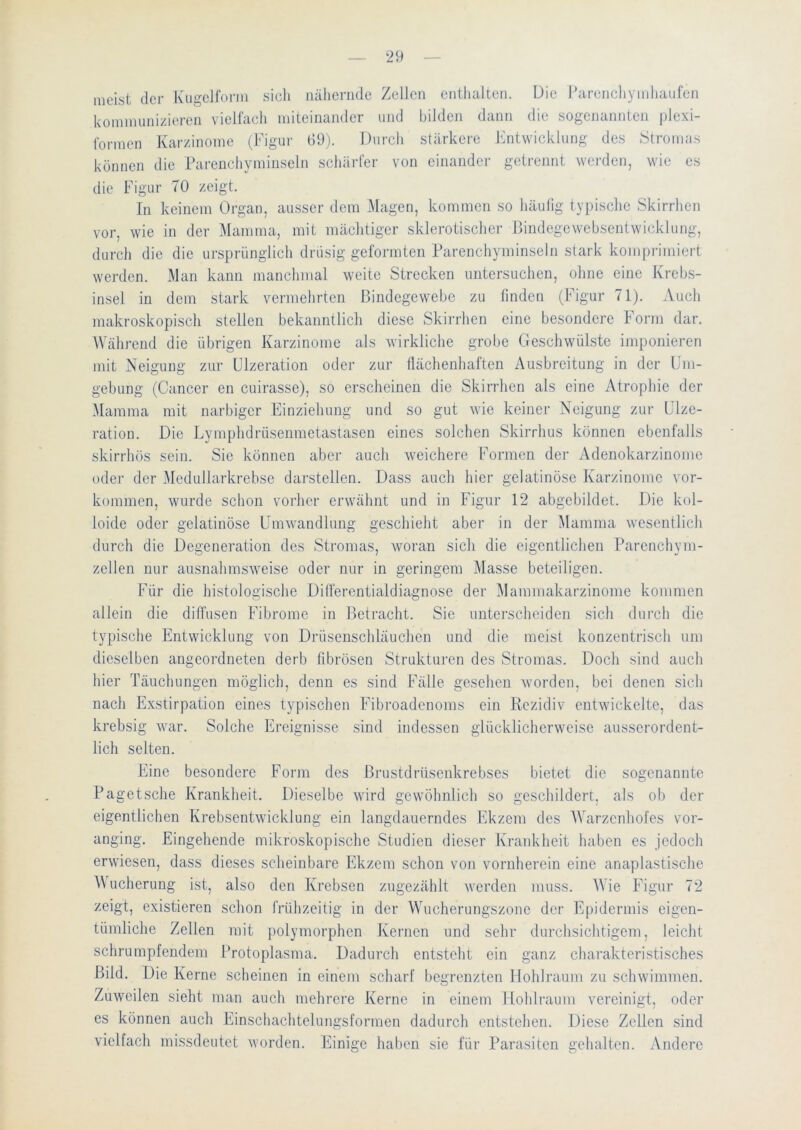 meist der iüigcJfonu sich iiähcrnde Zellen enthalten. Die Parenchymhaufen kommunizieren vielfach miteinander und bilden dann die sogenannten plexi- formen Karzinome (Figur ()9). Durch stärkere Fntwicklung des Stromas können die Parenchyminseln schäi’fer von einander getrennt werden, wie es die Figur 70 zeigt. In keinem Organ, ausser dem Magen, kommen so häufig typische Skirrhen vor, wie in der Mamma, mit mächtiger sklerotischer Pindegewebsentwicklung, durch die die ursprünglich drüsig geformten Parenchyminseln stark kompimniert werden. Man kann manchmal weite Strecken untersuchen, ohne eine Krebs- insel in dem stark vermehrten Bindegewebe zu finden (Figur 71). Auch makroskopisch steilen bekanntlich diese Skirrhen eine besondere P orin dar. Während die übrigen Karzinome als wirkliche grolje Geschwülste imponieren mit Neigung zur ülzeration oder zur üächenhaften Ausbreitung in der Um- gebung (Cancer en cuirasse), so erscheinen die Skirrhen als eine Atrophie der Mamma mit narbiger Einziehung und so gut wie keiner Neigung zur Ulze- ration. Die Lymphdrüsenmetastasen eines solchen Skirrhus können ebenfalls skirrhös sein. Sie können aber auch weichere Formen der Adenokarzinome oder der Medullarkrebse dai'stellen. Dass auch hier gelatinöse Karzinome Vor- kommen, wurde schon vorher erwähnt und in Figur 12 abgebildet. Die kol- loide oder gelatinöse Umwandlung geschieht aber in der Mamma wesentlich durch die Degeneration des Stromas, woran sich die eigentlichen Parenchym- zellen nur ausnahmsweise oder nur in geringem Masse beteiligen. Für die histologische Dilferentialdiagnose der Mammakarzinome kommen allein die diffusen Phbrome in Betracht. Sie unterscheiden sich durch die typische Entwicklung von Drüsenschläuchen und die meist konzentrisch um dieselben angeordneten derb fibrösen Strukturen des Stromas. Doch sind auch hier Täuchungen möglich, denn es sind Fälle gesehen worden, bei denen sich nach E.xstirpation eines typischen Fibroadenoms ein Rezidiv entwickelte, das krebsig war. Solche Ereignisse sind indessen glücklicherweise ausserordent- lich selten. Eine besondere P’orm des Brustdrüsenkrebses bietet die sogenannte Pagetsche Krankheit. Dieselbe wird gewöhnlich so geschildert, als ob der eigentlichen Krebsentwicklung ein langdauerndes Ekzem des Warzenhofes vor- anging. Eingehende mikroskopische Studien dieser Krankheit haben es jedoch erwiesen, dass dieses scheinbare Ekzem schon von vornherein eine anaplastische A\ ucherung ist, also den Krebsen zugezählt werden muss. AYie Pdgur 72 zeigt, existieren schon frühzeitig in der AVueherungszone der Epidermis eigen- tümliche Zellen mit polymorphen Kertien und sehr durchsichtigem, leicht schrumpfendem Protoplasma. Dadurch entsteht ein ganz charakteristisches Bild. Die Kerne scheinen in einem scharf begrenzten Hohlraum zu schwimmen. Zuweilen sieht man auch mehrere Kerne in einem Hohlraum vereinigt, oder es können auch Einschachtelungsformen dadurch entstehen. Diese Zellen sind vielfach missdeutet worden. Einige haben sie für Parasiten gehalten. Andere