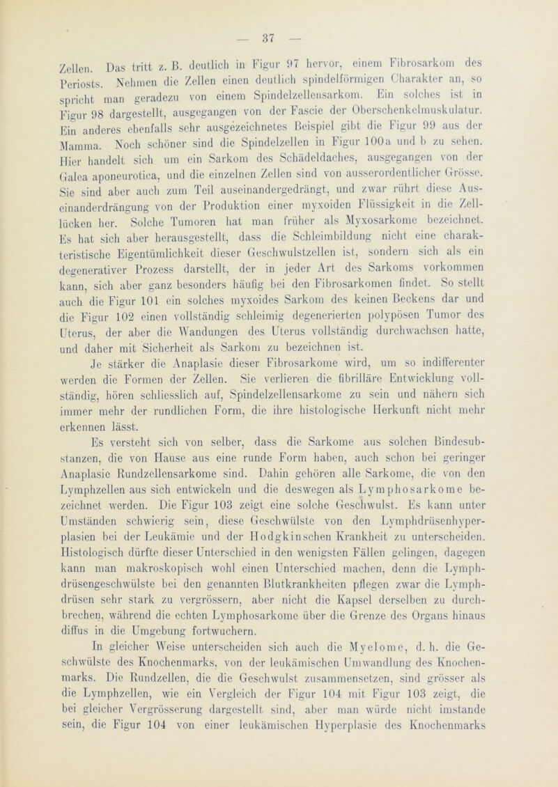 Zellen. Das tritt z. B. deutlich in Figur 97 hervor, einem Fibrosarkom des Periosts. Nehmen die Zellen einen deutlich spindelförmigen Charakter an, so spricht man geradezu von einem Spindclzellensarkom. Ein solches ist in Finir 98 dargestellt, ausgegangen von der Fascie der Oberschenkelmuskulatur. Ein anderes ebenfalls sehr ausgezeichnetes Beispiel gibt die Figur 99 aus der Mamma. Noch schöner sind die Spindelzellen in Figur 100a und b zu sehen, liier handelt sich um ein Sarkom des Schädeldaches, au.sgegangen von der (Jalea aponeurotica, und die einzelnen Zellen sind von ausserordentlicher Grösse. Sic sind aber auch zum Teil auseinandergedrängt, und zwar rührt diese Aus- cinanderdrängung von der Produktion einer myxoiden Flüssigkeit in die Zell- lücken her. Solche Tumoren hat man früher als Myxosarkome bezeichnet. Es hat sich aber herausgestellt, dass die Schleimbildung nicht eine charak- teristische Eigentümlichkeit dieser Geschwulstzellen ist, sondeim sich als ein degenerativer Prozess darstellt, der in jeder Art des Sarkoms Vorkommen kann, sich aber ganz besonders häufig bei den Fibrosarkomen findet. So .stellt auch die Figur 101 ein solches myxoides Sarkom des keinen Beckens dar und die Figur 102 einen vollständig schleimig degenerierten polypösen Tumor des Uterus, der aber die Wandungen des Uterus vollständig durchwachsen hatte, und daher mit Sicherheit als Sarkom zu bezeichnen ist. Je stärker die Anaplasie dieser Fibrosarkome wird, um so indifferenter werden die Formen der Zellen. Sie verlieren die fibrilläre Entwicklung voll- ständig, hören schliesslich auf, Spindelzellcnsarkorae zu sein und nähern sich immer mehr der rundlichen Form, die ihre histologische Herkunft nicht mehr erkennen lässt. Es versteht sich von selber, dass die Sarkome aus solchen Bindesub- stanzen, die von Hause aus eine runde Form haben, auch schon bei gei'inger Anaplasic Rundzellensarkome sind. Dahin gehören alle Sarkome, die von den Lymphzellen aus sich entwickeln und die deswegen als Lymphosarkome be- zeichnet werden. Die Figur 103 zeigt eine solche Geschwulst. Es kann unter Umständen schwierig sein, diese Geschwülste von den Lymphdi-üscnhypcr- plasicn bei der Jjeukämie und der Hodgkin sehen Krankheit zu unterscheiden. Histologisch dürfte dieser Unterschied in den wenigsten Fällen gelingen, dagegen kann man makroskopisch wohl einen Unterschied machen, denn die Lymph- drüsengeschwülste bei den genannten Blutkrankheiten pflegen zwar die Lymph- drüsen sehr stark zu vergrössern, aber nicht die Kapsel derselben zu durch- brechen, während die echten I^ymphosarkome über die Grenze des Organs hinaus diffus in die Umgebung fortwuchern. In gleicher Weise unterscheiden sich auch die Myelome, d. h. die Ge- schwülste des Knochenmarks, von der leukämischen Umwandlung des Knochen- marks. Die Rundzellen, die die Geschwulst zusammensetzen, sind grösser als die Lymphzellen, wie ein Vergleich der Figur 104 mit Figur 103 zeigt, die bei gleicher Vergrösserung dargestellt sind, aber man würde nicht imstande sein, die Figur 104 von einer leukämischen Hyperplasie des Knochenmarks