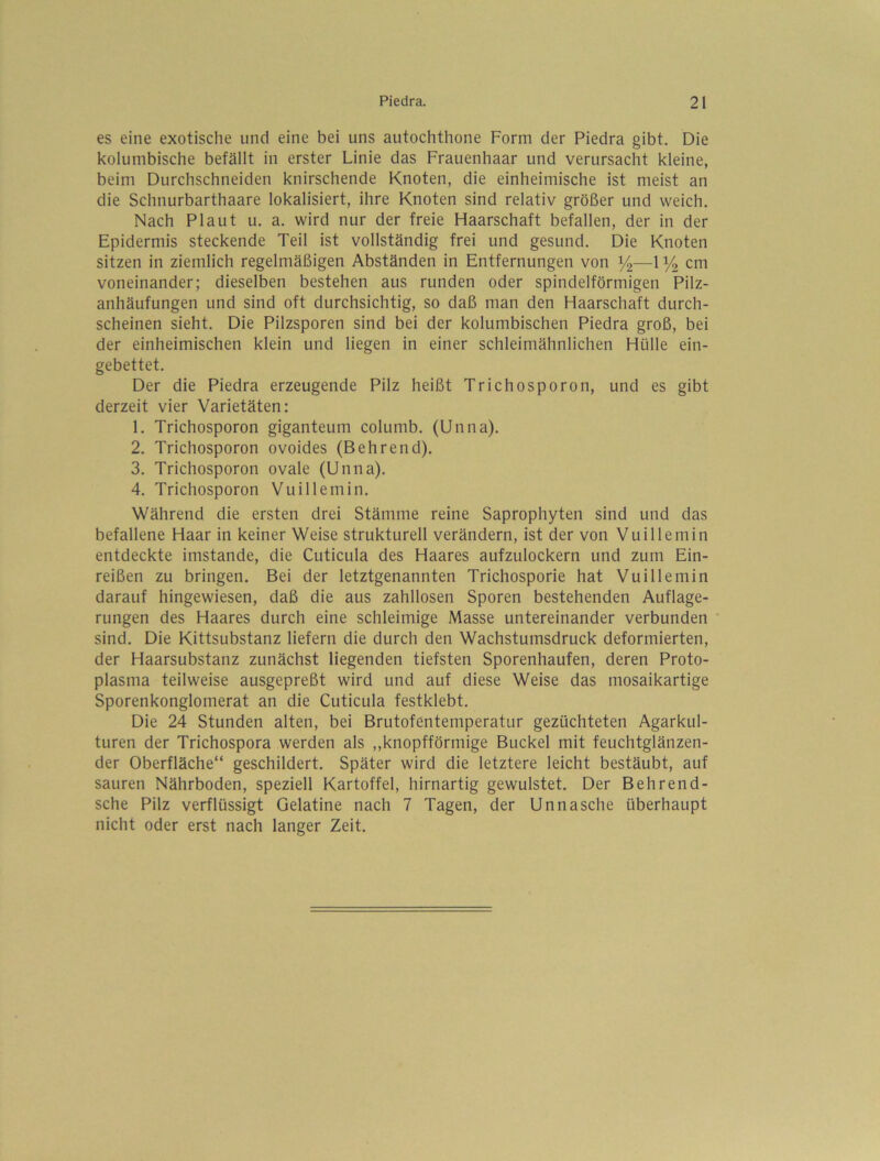 es eine exotische und eine bei uns autochthone Form der Piedra gibt. Die kolumbische befällt in erster Linie das Frauenhaar und verursacht kleine, beim Durchschneiden knirschende Knoten, die einheimische ist meist an die Schnurbarthaare lokalisiert, ihre Knoten sind relativ größer und weich. Nach Plaut u. a. wird nur der freie Haarschaft befallen, der in der Epidermis steckende Teil ist vollständig frei und gesund. Die Knoten sitzen in ziemlich regelmäßigen Abständen in Entfernungen von —1cm voneinander; dieselben bestehen aus runden oder spindelförmigen Pilz- anhäufungen und sind oft durchsichtig, so daß man den Haarschaft durch- scheinen sieht. Die Pilzsporen sind bei der kolumbischen Piedra groß, bei der einheimischen klein und liegen in einer schleimähnlichen Hülle ein- gebettet. Der die Piedra erzeugende Pilz heißt Trichosporon, und es gibt derzeit vier Varietäten: 1. Trichosporon giganteum columb. (Unna). 2. Trichosporon ovoides (Behrend). 3. Trichosporon ovale (Unna). 4. Trichosporon Vuillemin. Während die ersten drei Stämme reine Saprophyten sind und das befallene Haar in keiner Weise strukturell verändern, ist der von Vuillemin entdeckte imstande, die Cuticula des Haares aufzulockern und zum Ein- reißen zu bringen. Bei der letztgenannten Trichosporie hat Vuillemin darauf hingewiesen, daß die aus zahllosen Sporen bestehenden Auflage- rungen des Haares durch eine schleimige Masse untereinander verbunden sind. Die Kittsubstanz liefern die durch den Wachstumsdruck deformierten, der Haarsubstanz zunächst liegenden tiefsten Sporenhaufen, deren Proto- plasma teilweise ausgepreßt wird und auf diese Weise das mosaikartige Sporenkonglomerat an die Cuticula festklebt. Die 24 Stunden alten, bei Brutofentemperatur gezüchteten Agarkul- turen der Trichospora werden als ,,knopfförmige Buckel mit feuchtglänzen- der Oberfläche“ geschildert. Später wird die letztere leicht bestäubt, auf sauren Nährboden, speziell Kartoffel, hirnartig gewulstet. Der Behrend- sche Pilz verflüssigt Gelatine nach 7 Tagen, der Unnasche überhaupt nicht oder erst nach langer Zeit.