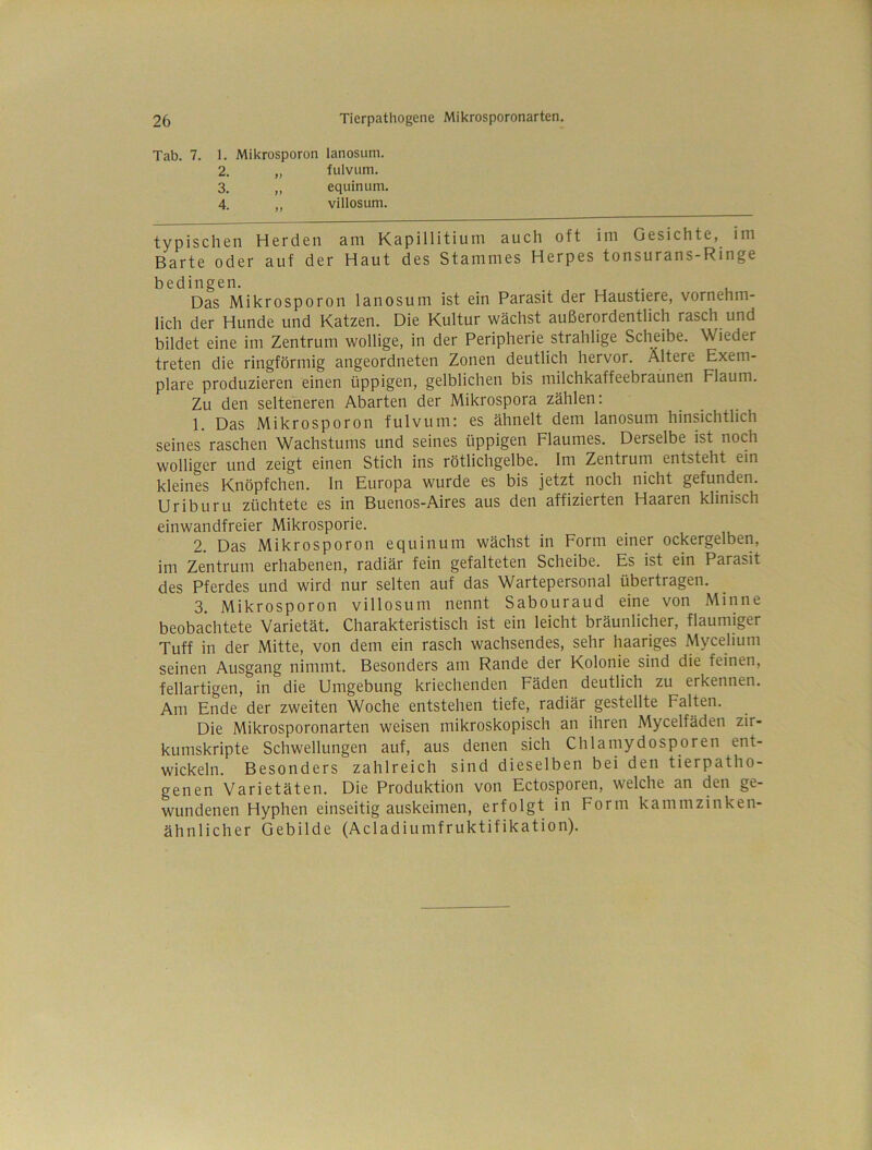 Tab. 7. 1. Mikrosporon lanosum. 2. „ fulvum. 3. „ equinum, 4. „ villosum. typischen Herden am Kapillitium auch oft im Gesichte, im Barte oder auf der Haut des Stammes Herpes tonsurans-Ringe bedingen. , Das Mikrosporon lanosum ist ein Parasit der Haustiere, vornehm- lich der Hunde und Katzen. Die Kultur wächst außerordentlich rasch und bildet eine im Zentrum wollige, in der Peripherie strahlige Scheibe. Wieder treten die ringförmig angeordneten Zonen deutlich hervor. Ältere Exem- plare produzieren einen üppigen, gelblichen bis milchkaffeebraünen Flaum. Zu den selteneren Abarten der Mikrospora zählen: 1. Das Mikrosporon fulvum; es ähnelt dem lanosum hinsichtlich seines raschen Wachstums und seines üppigen Flaumes. Derselbe ist noch wolliger und zeigt einen Stich ins rötlichgelbe. Im Zentrum entsteht ein kleines Knöpfchen. ln Europa wurde es bis jetzt noch nicht gefunden. Uriburu züchtete es in Buenos-Aires aus den affizierten Haaren klinisch einwandfreier Mikrosporie. 2. Das Mikrosporon equinum wächst in Form einer ockergelben, im Zentrum erhabenen, radiär fein gefalteten Scheibe. Es ist ein Parasit des Pferdes und wird nur selten auf das Wartepersonal übertragen. 3. Mikrosporon villosum nennt Sabouraud eine von Minne beobachtete Varietät. Charakteristisch ist ein leicht bräunlicher, flaumiger Tuff in der Mitte, von dem ein rasch wachsendes, sehr haariges Mycelium seinen Ausgang nimmt. Besonders am Rande der Kolonie sind die feinen, fellartigen, in die Umgebung kriechenden Fäden deutlich zu erkennen. Am Ende der zweiten Woche entstehen tiefe, radiär gestellte Falten. Die Mikrosporonarten weisen mikroskopisch an ihren Mycelfäden zir- kumskripte Schwellungen auf, aus denen sich Chlamydosporen ent- wickeln. Besonders zahlreich sind dieselben bei den tierpatho- genen Varietäten. Die Produktion von Ectosporen, welche an den ge- wundenen Hyphen einseitig auskeimen, erfolgt in Form kammzinken- ähnlicher Gebilde (Acladiumfruktifikation).