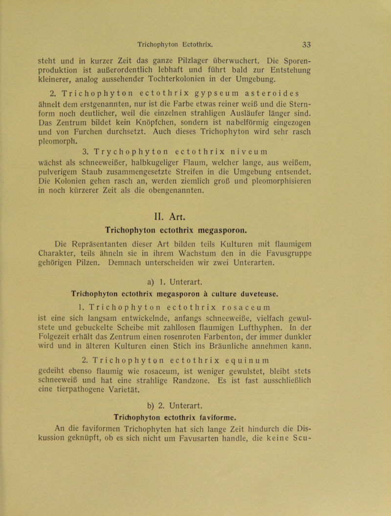steht und in kurzer Zeit das ganze Pilzlager überwuchert. Die Sporen- produktion ist außerordentlich lebhaft und führt bald zur Entstehung kleinerer, analog aussehender Tochterkolonien in der Umgebung. 2. Trichophyton ectothrix gypseum asteroides ähnelt dem erstgenannten, nur ist die Farbe etwas reiner weiß und die Stern- form noch deutlicher, weil die einzelnen strahligen Ausläufer länger sind. Das Zentrum bildet kein Knöpfchen, sondern ist nabelförmig eingezogen und von Furchen durchsetzt. Auch dieses Trichophyton wird sehr rasch pleomorph. 3. Trychophyton ectothrix niveum wächst als schneeweißer, halbkugeliger Flaum, welcher lange, aus weißem, pulverigem Staub zusammengesetzte Streifen in die Umgebung entsendet. Die Kolonien gehen rasch an, werden ziemlich groß und pleomorphisieren in noch kürzerer Zeit als die obengenannten. II. Art. Trichophyton ectothrix megasporon. Die Repräsentanten dieser Art bilden teils Kulturen mit flaumigem Charakter, teils ähneln sie in ihrem Wachstum den in die Favusgruppe gehörigen Pilzen. Demnach unterscheiden wir zwei Unterarten. a) 1. Unterart. Trichophyton ectothrix megasporon ä culture duveteuse. 1. Trichophyton ectothrix rosaceum ist eine sich langsam entwickelnde, anfangs schneeweiße, vielfach gewul- stete und gebuckelte Scheibe mit zahllosen flaumigen Lufthyphen, ln der Folgezeit erhält das Zentrum einen rosenroten Farbenton, der immer dunkler wird und in älteren Kulturen einen Stich ins Bräunliche annehmen kann. 2. Trichophyton ectothrix equinum gedeiht ebenso flaumig wie rosaceum, ist weniger gewulstet, bleibt stets schneeweiß und hat eine strahlige Randzone. Es ist fast ausschließlich eine tierpathogene Varietät. b) 2. Unterart. Trichophyton ectothrix faviforme. An die faviformen Trichophyten hat sich lange Zeit hindurch die Dis- kussion geknüpft, ob es sich nicht um Favusarten handle, die keine Scu-