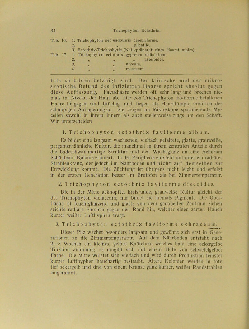 Tab. 16. 1. Trichophyton neo-endothrix cerebriforme. 2. „ ,, plicatile. 3. Ectothrix-Trichophytie (Nativpräparat eines Haarstumpfes). Tab. 17. 1. Trichophyton ectothrix gypseum radiolatum. 2. ,, „ ,, asteroides. 3. „ „ niveum. 4. „ „ rosaceum. tula ZU bilden befähigt sind. Der klinische und der mikro- skopische Befund des infizierten Haares spricht absolut gegen diese Auffassung. Favushaare werden oft sehr lang und brechen nie- mals im Niveau der Haut ab. Die von Trichophyton faviforme befallenen Haare hingegen sind brüchig und liegen als Haarstümpfe inmitten der schuppigen Auflagerungen. Sie zeigen im Mikroskope sporulierende My- celien sowohl in ihrem Innern als auch stellenweise rings um den Schaft. Wir unterscheiden 1. Trichophyton ectothrix faviforme album. Es bildet eine langsam wachsende, vielfach gefältete, glatte, grauweiße, pergamentähnliche Kultur, die manchmal in ihrem zentralen Anteile durch die badeschwammartige Struktur und den Wachsglanz an eine Achorion Schönleinii-Kolonie erinnert. In der Peripherie entsteht mitunter ein radiärer Strahlenkranz, der jedoch im Nährboden und nicht auf demselben zur Entwicklung kommt. Die Züchtung ist übrigens nicht leicht und erfolgt in der ersten Generation besser im Brutofen als bei Zimmertemperatur. 2. Trichophyton ectothrix faviforme discoides. Die in der Mitte geknöpfte, kreisrunde, grauweiße Kultur gleicht der des Trichophyton violaceum, nur bildet sie niemals Pigment. Die Ober- fläche ist feuchtglänzend und glatt; von dem genabelten Zentrum ziehen seichte radiäre Furchen gegen den Rand hin, welcher einen zarten Hauch kurzer weißer Lufthyphen trägt. 3. Trichophyton ectothrix faviforme ochraceu m. Dieser Pilz wächst besonders langsam und gewöhnt sich erst in Gene- rationen an die Zimmertemperatur. Auf dem Nährboden entsteht nach 2—3 Wochen ein kleines, gelbes Knötchen, welches bald eine ockergelbe Tinktion annimmt; es umgibt sich mit einem Hofe von schwefelgelber Farbe. Die Mitte wulstet sich vielfach und wird durch Produktion feinster kurzer Lufthyphen hauchartig bestaubt. Ältere Kolonien werden in toto tief ockergelb und sind von einem Kranze ganz kurzer, weißer Randstrahlen eingerahmt.