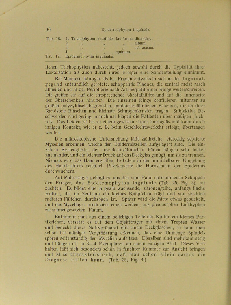 Tab. 18. 1. Trichophyton ectothrix faviforme discoides. 2. „ „ „ album. 3. ,, „ „ ochraceum. 4. „ „ equinum. Tab. 19. Epidermophytia inguinalis. liehen Trichophytien nahesteht, jedoch sowohl durch die Typizität ihrer Lokalisation als auch durch ihren Erreger eine Sonderstellung einnimmt. Bei Männern häufiger als bei Frauen entwickeln sich in der Inguinal- gegend entzündlich gerötete, schuppende Plaques, die zentral meist rasch abheilen und in der Peripherie nach Art herpetiformer Ringe weiterschreiten. Oft greifen sie auf die entsprechende Skrotalhälfte und auf die Innenseite des Oberschenkels hinüber. Die einzelnen Ringe konfluieren mitunter zu großen polyzyklisch begrenzten, landkartenähnlichen Scheiben, die an ihrer Randzone Bläschen und kleinste Schuppenkrusten tragen. Subjektive Be- schwerden sind gering, manchmal klagen die Patienten über mäßigen Juck- reiz. Das Leiden ist bis zu einem gewissen Grade kontagiös und kann durch innigen Kontakt, wie er z. B. beim Geschlechtsverkehr erfolgt, übertragen werden. Die mikroskopische Untersuchung läßt zahlreiche, viereckig septierte Mycelien erkennen, welche den Epidermiszellen aufgelagert sind. Die ein- zelnen Kettenglieder der rosenkranzähnlichen Fäden hängen sehr locker aneinander, und ein leichter Druck auf das Deckglas genügt, um sie zu trennen. Niemals wird das Haar ergriffen, trotzdem in der unmittelbaren Umgebung des Haartrichters reichlich Pilzelemente die Hornschicht der Epidermis durchwuchern. Auf Maltoseagar gelingt es, aus den vom Rand entnommenen Schuppen den Erreger, das Epidermophyton inguinale (Tab. 25, Fig. 3), zu züchten. Es bildet eine langsam wachsende, zitronengelbe, anfangs flache Kultur, die im Zentrum ein kleines Knöpfchen trägt und von seichten radiären Fältchen durchzogen ist. Später wird die Mitte etwas gebuckelt, und das Mycellager produziert einen weißen, aus pleomorphen Lufthyphen zusammengesetzten Flaum. Entnimmt man aus einem beliebigen Teile der Kultur ein kleines Par- tikelchen, versetzt es auf dem Objektträger mit einem Tropfen Wasser und bedeckt dieses Nativpräparat mit einem Deckgläschen, so kann man schon bei mäßiger Vergrößerung erkennen, daß eine Unmenge Spindel- sporen seitenständig den Mycelien aufsitzen. Dieselben sind mehrkammerig und hängen oft in 3—4 Exemplaren an einem einzigen Stiel. Dieses Ver- halten läßt sich besonders schön in feuchter Kammer zur Ansicht bringen und ist so charakteristisch, daß man schon allein daraus die Diagnose stellen kann. (Tab. 25, Fig. 4.)