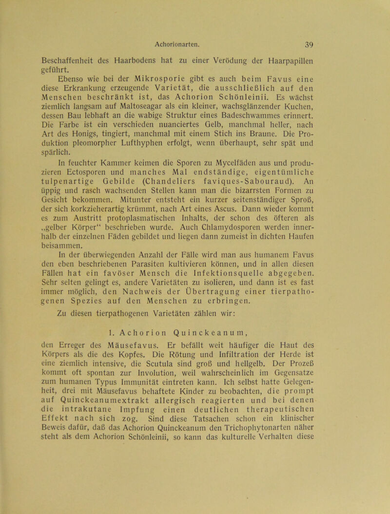 Beschaffenheit des Haarbodens hat zu einer Verödung der Haarpapillen geführt. Ebenso wie bei der Mikrosporie gibt es auch beim Favus eine diese Erkrankung erzeugende Varietät, die ausschließlich auf den Menschen beschränkt ist, das Achorion Schönleinii, Es wächst ziemlich langsam auf Maltoseagar als ein kleiner, wachsglänzender Kuchen, dessen Bau lebhaft an die wabige Struktur eines Badeschwammes erinnert. Die Farbe ist ein verschieden nuanciertes Gelb, manchmal heller, nach Art des Honigs, tingiert, manchmal mit einem Stich ins Braune. Die Pro- duktion pleomorpher Lufthyphen erfolgt, wenn überhaupt, sehr spät und spärlich. In feuchter Kammer keimen die Sporen zu Mycelfäden aus und produ- zieren Ectosporen und manches Mal endständige, eigentümliche tulpenartige Gebilde (Chandeliers faviques-Sabouraud). An üppig und rasch wachsenden Stellen kann man die bizarrsten Formen zu Gesicht bekommen. Mitunter entsteht ein kurzer seitenständiger Sproß, der sich korkzieherartig krümmt, nach Art eines Ascus. Dann wieder kommt es zum Austritt protoplasmatischen Inhalts, der schon des öfteren als ,,gelber Körper“ beschrieben wurde. Auch Chlamydosporen werden inner- halb der einzelnen Fäden gebildet und liegen dann zumeist in dichten Haufen beisammen. In der überwiegenden Anzahl der Fälle wird man aus humanem Favus den eben beschriebenen Parasiten kultivieren können, und in allen diesen Fällen hat ein favöser Mensch die Infektionsquelle abgegeben. Sehr selten gelingt es, andere Varietäten zu isolieren, und dann ist es fast immer möglich, den Nachweis der Übertragung einer tierpatho- genen Spezies auf den Menschen zu erbringen. Zu diesen tierpathogenen Varietäten zählen wir: 1. Achorion Quinckeanum, den Erreger des Mäusefavus. Er befällt weit häufiger die Haut des Körpers als die des Kopfes. Die Rötung und Infiltration der Herde ist eine ziemlich intensive, die Scutula sind groß und hellgelb. Der Prozeß kommt oft spontan zur Involution, weil wahrscheinlich im Gegensätze zum humanen Typus Immunität eintreten kann. Ich selbst hatte Gelegen- heit, drei mit Mäusefavus behaftete Kinder zu beobachten, die prompt auf Quinckeanumextrakt allergisch reagierten und bei denen die intrakutane Impfung einen deutlichen therapeutischen Effekt nach sich zog. Sind diese Tatsachen schon ein klinischer Beweis dafür, daß das Achorion Quinckeanum den Trichophytonarten näher steht als dem Achorion Schönleinii, so kann das kulturelle Verhalten diese