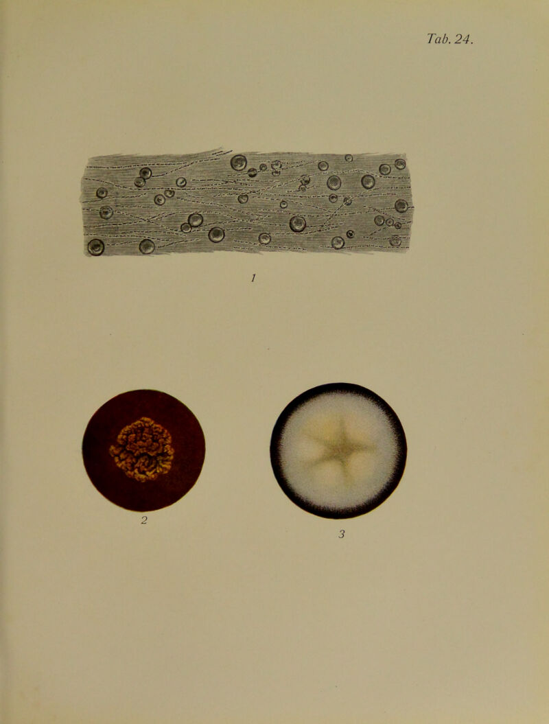 1 3