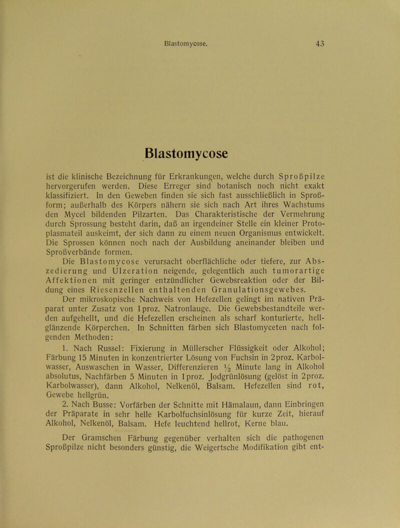 Blastomycose ist die klinische Bezeichnung für Erkrankungen, welche durch Sproßpilze hervorgerufen werden. Diese Erreger sind botanisch noch nicht exakt klassifiziert. In den Geweben finden sie sich fast ausschließlich in Sproß- form; außerhalb des Körpers nähern sie sich nach Art ihres Wachstums den Mycel bildenden Pilzarten, Das Charakteristische der Vermehrung durch Sprossung besteht darin, daß an irgendeiner Stelle ein kleiner Proto- plasmateil auskeimt, der sich dann zu einem neuen Organismus entwickelt. Die Sprossen können noch nach der Ausbildung aneinander bleiben und Sproßverbände formen. Die Blastomycose verursacht oberflächliche oder tiefere, zur Abs- zedierung und Ulzeration neigende, gelegentlich auch tumorartige Affektionen mit geringer entzündlicher Gewebsreaktion oder der Bil- dung eines Riesenzellen enthaltenden Granulationsgewebes. Der mikroskopische Nachweis von Hefezellen gelingt im nativen Prä- parat unter Zusatz von Iproz. Natronlauge. Die Gewebsbestandteile wer- den aufgehellt, und die Hefezellen erscheinen als scharf konturierte, hell- glänzende Körperchen. In Schnitten färben sich Blastomyceten nach fol- genden Methoden: 1. Nach Rüssel: Fixierung in Müllerscher Flüssigkeit oder Alkohol; Färbung 15 Minuten in konzentrierter Lösung von Fuchsin in 2proz. Karbol- wasser, Auswaschen in Wasser, Differenzieren 14 Minute lang in Alkohol absolutus. Nachfärben 5 Minuten in Iproz. Jodgrünlösung (gelöst in 2proz. Karbolwasser), dann Alkohol, Nelkenöl, Balsam. Hefezellen sind rot, Gewebe hellgrün, 2. Nach Busse: Vorfärben der Schnitte mit Hämalaun, dann Einbringen der Präparate in sehr helle Karbolfuchsinlösung für kurze Zeit, hierauf Alkohol, Nelkenöl, Balsam. Hefe leuchtend hellrot, Kerne blau. Der Gramschen Färbung gegenüber verhalten sich die pathogenen Sproßpilze nicht besonders günstig, die Weigertsche Modifikation gibt ent-