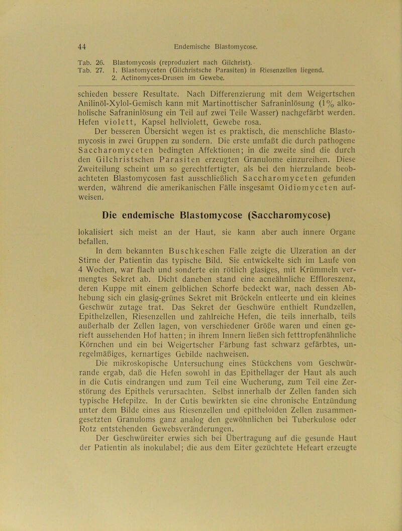 Tab. 26. Blastomycosis (reproduziert nach Gilchrist). Tab. 27. 1. Blastomyceten (Gilchristsche Parasiten) in Riesenzellen liegend. 2. Actinomyces-Drusen im Gewebe. schieden bessere Resultate. Nach Differenzierung mit dem Weigertschen Anilinöl-Xylol-Gemisch kann mit Martinottischer Safraninlösung (1% alko- holische Safraninlösung ein Teil auf zwei Teile Wasser) nachgefärbt werden. Hefen violett, Kapsel hellviolett, Gewebe rosa. Der besseren Übersicht wegen ist es praktisch, die menschliche Blasto- mycosis in zwei Gruppen zu sondern. Die erste umfaßt die durch pathogene Saccharomyceten bedingten Affektionen; in die zweite sind die durch den Gilchristschen Parasiten erzeugten Granulome einzureihen. Diese Zweiteilung scheint um so gerechtfertigter, als bei den hierzulande beob- achteten Blastomycosen fast ausschließlich Saccharomyceten gefunden werden, während die amerikanischen Fälle insgesamt Oidiomyceten auf- weisen. Die endemische Blastomycose (Saccharomycose) lokalisiert sich meist an der Haut, sie kann aber auch innere Organe befallen. ln dem bekannten Buschkeschen Falle zeigte die Ulzeration an der Stirne der Patientin das typische Bild. Sie entwickelte sich im Laufe von 4 Wochen, war flach und sonderte ein rötlich glasiges, mit Krümmein ver- mengtes Sekret ab. Dicht daneben stand eine acneähnliche Effloreszenz, deren Kuppe mit einem gelblichen Schorfe bedeckt war, nach dessen Ab- hebung sich ein glasig-grünes Sekret mit Bröckeln entleerte und ein kleines Geschwür zutage trat. Das Sekret der Geschwüre enthielt Rundzellen, Epithelzellen, Riesenzellen und zahlreiche Hefen, die teils innerhalb, teils außerhalb der Zellen lagen, von verschiedener Größe waren und einen ge- rieft aussehenden Hof hatten; in ihrem Innern ließen sich fetttropfenähnliche Körnchen und ein bei Weigertscher Färbung fast schwarz gefärbtes, un- regelmäßiges, kernartiges Gebilde nachweisen. Die mikroskopische Untersuchung eines Stückchens vom Geschwür- rande ergab, daß die Hefen sowohl in das Epithellager der Haut als auch in die Cutis eindrangen und zum Teil eine Wucherung, zum Teil eine Zer- störung des Epithels verursachten. Selbst innerhalb der Zellen fanden sich typische Hefepilze, ln der Cutis bewirkten sie eine chronische Entzündung unter dem Bilde eines aus Riesenzellen und epitheloiden Zellen zusammen- gesetzten Granuloms ganz analog den gewöhnlichen bei Tuberkulose oder Rotz entstehenden Gewebsveränderungen. Der Geschwüreiter erwies sich bei Übertragung auf die gesunde Haut der Patientin als inokulabel; die aus dem Eiter gezüchtete Hefeart erzeugte