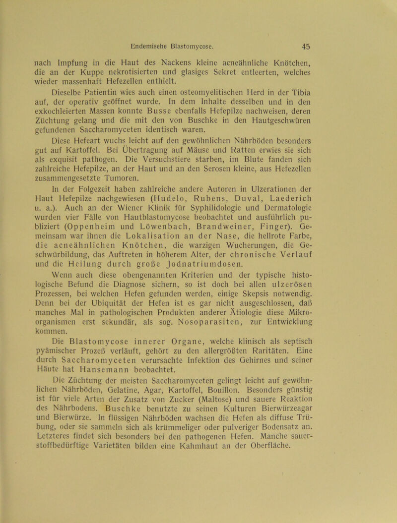 nach Impfung in die Haut des Nackens kleine acneähnliche Knötchen, die an der Kuppe nekrotisierten und glasiges Sekret entleerten, welches wieder massenhaft Hefezellen enthielt. Dieselbe Patientin wies auch einen osteomyelitischen Herd in der Tibia auf, der operativ geöffnet wurde, ln dem Inhalte desselben und in den exkochleierten Massen konnte Busse ebenfalls Hefepilze nachweisen, deren Züchtung gelang und die mit den von Buschke in den Hautgeschwüren gefundenen Saccharomyceten identisch waren. Diese Hefeart wuchs leicht auf den gewöhnlichen Nährböden besonders gut auf Kartoffel. Bei Übertragung auf Mäuse und Ratten erwies sie sich als exquisit pathogen. Die Versuchstiere starben, im Blute fanden sich zahlreiche Hefepilze, an der Haut und an den Serösen kleine, aus Hefezellen zusammengesetzte Tumoren. ln der Folgezeit haben zahlreiche andere Autoren in Ulzerationen der Haut Hefepilze nachgewiesen (Hudelo, Rubens, Duval, Laederich u. a.). Auch an der Wiener Klinik für Syphilidologie und Dermatologie wurden vier Fälle von Hautblastomycose beobachtet und ausführlich pu- bliziert (Oppenheim und Löwenbach, Brandweiner, Finger). Ge- meinsam war ihnen die Lokalisation an der Nase, die hellrote Farbe, die acneähnlichen Knötchen, die warzigen Wucherungen, die Ge- schwürbildung, das Auftreten in höherem Alter, der chronische Verlauf und die Heilung durch große Jodnatriumdosen. Wenn auch diese obengenannten Kriterien und der typische histo- logische Befund die Diagnose sichern, so ist doch bei allen ulzerösen Prozessen, bei welchen Hefen gefunden werden, einige Skepsis notwendig. Denn bei der Ubiquität der Hefen ist es gar nicht ausgeschlossen, daß manches Mal in pathologischen Produkten anderer Ätiologie diese Mikro- organismen erst sekundär, als sog. Nosoparasiten, zur Entwicklung kommen. Die Blastomycose innerer Organe, welche klinisch als septisch pyämischer Prozeß verläuft, gehört zu den allergrößten Raritäten. Eine durch Saccharomyceten verursachte Infektion des Gehirnes und seiner Häute hat Hansemann beobachtet. Die Züchtung der meisten Saccharomyceten gelingt leicht auf gewöhn- lichen Nährböden, Gelatine, Agar, Kartoffel, Bouillon. Besonders günstig ist für viele Arten der Zusatz von Zucker (Maltose) und sauere Reaktion des Nährbodens. Buschke benutzte zu seinen Kulturen Bierwürzeagar und Bierwürze, ln flüssigen Nährböden wachsen die Hefen als diffuse Trü- bung, oder sie sammeln sich als krümmeliger oder pulveriger Bodensatz an. Letzteres findet sich besonders bei den pathogenen Hefen. Manche sauer- stoffbedürftige Varietäten bilden eine Kahmhaut an der Oberfläche.