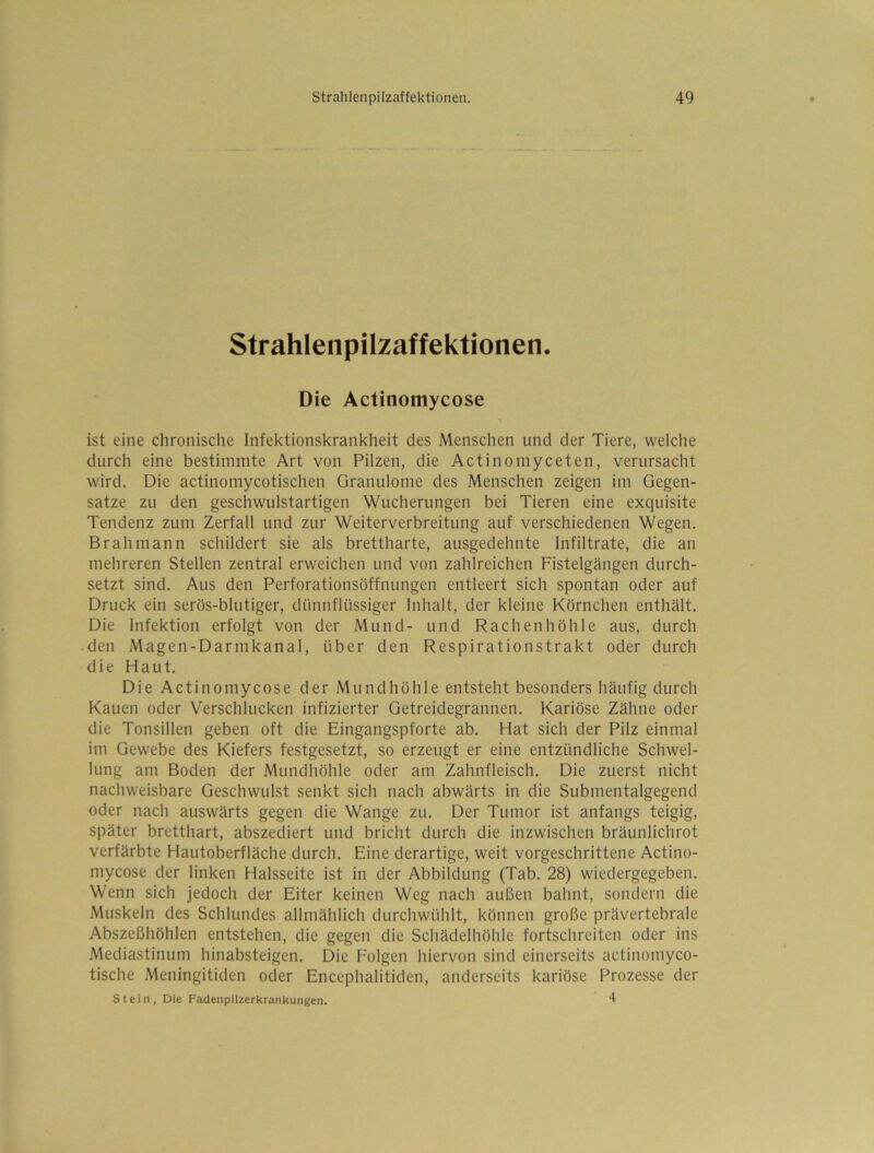 Strahlenpilzaffektionen. Die Actinomycose ist eine chronische Infektionskrankheit des Menschen und der Tiere, welche durch eine bestimmte Art von Pilzen, die Actinomyceten, verursacht wird. Die actinomycotischen Granulome des Menschen zeigen im Gegen- sätze zu den geschwulstartigen Wucherungen bei Tieren eine exquisite Tendenz zum Zerfall und zur Weiterverbreitung auf verschiedenen Wegen. Brahmann schildert sie als brettharte, ausgedehnte Infiltrate, die an mehreren Stellen zentral erweichen und von zahlreichen Fistelgängen durch- setzt sind. Aus den Perforationsöffnungen entleert sich spontan oder auf Druck ein serös-blutiger, dünnflüssiger Inhalt, der kleine Körnchen enthält. Die Infektion erfolgt von der Mund- und Rachen höhle aus, durch den Magen-Darmkanal, über den Respirationstrakt oder durch die Haut. Die Actinomycose der Mundhöhle entsteht besonders häufig durch Kauen oder Verschlucken infizierter Getreidegrannen. Kariöse Zähne oder die Tonsillen geben oft die Eingangspforte ab. Hat sich der Pilz einmal im Gewebe des Kiefers festgesetzt, so erzeugt er eine entzündliche Schwel- lung am Boden der Mundhöhle oder am Zahnfleisch. Die zuerst nicht nachweisbare Geschwulst senkt sich nach abwärts in die Submentalgegend oder nach auswärts gegen die Wange zu. Der Tumor ist anfangs teigig, später bretthart, abszediert und bricht durch die inzwischen bräunlichrot verfärbte Hautoberfläche durch. Eine derartige, weit vorgeschrittene Actino- mycose der linken Halsseite ist in der Abbildung (Tab. 28) wiedergegeben. Wenn sich jedoch der Eiter keinen Weg nach außen bahnt, sondern die Muskeln des Schlundes allmählich durchwühlt, können große prävertebrale Abszeßhöhlen entstehen, die gegen die Schädelhöhle fortschreiten oder ins Mediastinum hinabsteigen. Die Folgen hiervon sind einerseits actinomyco- tische Meningitiden oder Encephalitiden, anderseits kariöse Prozesse der stein, Die Fadenpilzerkrankungen.