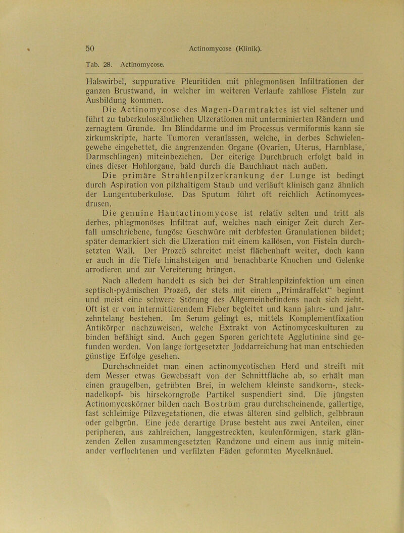 Tab. 28. Actinomycose. Halswirbel, suppurative Pleuritiden mit phlegmonösen Infiltrationen der ganzen Brustwand, in welcher im weiteren Verlaufe zahllose Fisteln zur Ausbildung kommen. Die Actinomycose des Magen-Darmtraktes ist viel seltener und führt zu tuberkuloseähnlichen Ulzerationen mit unterminierten Rändern und zernagtem Grunde. Im Blinddärme und im Processus vermiformis kann sie zirkumskripte, harte Tumoren veranlassen, welche, in derbes Schwielen- gewebe eingebettet, die angrenzenden Organe (Ovarien, Uterus, Harnblase, Darmschlingen) miteinbeziehen. Der eiterige Durchbruch erfolgt bald in eines dieser Hohlorgane, bald durch die Bauchhaut nach außen. Die primäre Strahlenpilzerkrankung der Lunge ist bedingt durch Aspiration von pilzhaltigem Staub und verläuft klinisch ganz ähnlich der Lungentuberkulose. Das Sputum führt oft reichlich Actinomyces- drusen. Die genuine Hautactinomycose ist relativ selten und tritt als derbes, phlegmonöses Infiltrat auf, welches nach einiger Zeit durch Zer- fall umschriebene, fungöse Geschwüre mit derbfesten Granulationen bildet; später demarkiert sich die Ulzeration mit einem kallösen, von Fisteln durch- setzten Wall. Der Prozeß schreitet meist flächenhaft weiter, doch kann er auch in die Tiefe hinabsteigen und benachbarte Knochen und Gelenke arrodieren und zur Vereiterung bringen. Nach alledem handelt es sich bei der Strahlenpilzinfektion um einen septisch-pyämischen Prozeß, der stets mit einem ,,Primäraffekt“ beginnt und meist eine schwere Störung des Allgemeinbefindens nach sich zieht. Oft ist er von intermittierendem Fieber begleitet und kann Jahre- und jahr- zehntelang bestehen. Im Serum gelingt es, mittels Komplementfixation Antikörper nachzuweisen, welche Extrakt von Actinomyceskulturen zu binden befähigt sind. Auch gegen Sporen gerichtete Agglutinine sind ge- funden worden. Von lange fortgesetzter Joddarreichung hat man entschieden günstige Erfolge gesehen. Durchschneidet man einen actinomycotischen Herd und streift mit dem Messer etwas Gewebssaft von der Schnittfläche ab, so erhält man einen graugelben, getrübten Brei, in welchem kleinste Sandkorn-, steck- nadelkopf- bis hirsekorngroße Partikel suspendiert sind. Die jüngsten Actinomyceskörner bilden nach Boström grau durchscheinende, gallertige, fast schleimige Pilzvegetationen, die etwas älteren sind gelblich, gelbbraun oder gelbgrün. Eine jede derartige Druse besteht aus zwei Anteilen, einer peripheren, aus zahlreichen, langgestreckten, keulenförmigen, stark glän- zenden Zellen zusammengesetzten Randzone und einem aus innig mitein- ander verflochtenen und verfilzten Fäden geformten Mycelknäuel.