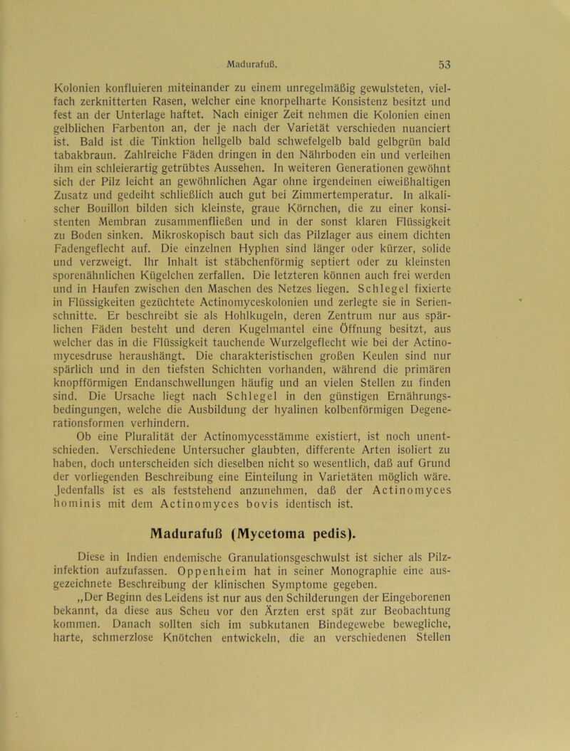 Kolonien konfliiieren miteinander zu einem unregelmäßig gewulsteten, viel- fach zerknitterten Rasen, welcher eine knorpelharte Konsistenz besitzt und fest an der Unterlage haftet. Nach einiger Zeit nehmen die Kolonien einen gelblichen Farbenton an, der je nach der Varietät verschieden nuanciert ist. Bald ist die Tinktion hellgelb bald schwefelgelb bald gelbgrün bald tabakbraun. Zahlreiche Fäden dringen in den Nährboden ein und verleihen ihm ein schleierartig getrübtes Aussehen, ln weiteren Generationen gewöhnt sich der Pilz leicht an gewöhnlichen Agar ohne irgendeinen eiweißhaltigen Zusatz und gedeiht schließlich auch gut bei Zimmertemperatur, ln alkali- scher Bouillon bilden sich kleinste, graue Körnchen, die zu einer konsi- stenten Membran zusammenfließen und in der sonst klaren Flüssigkeit zu Boden sinken. Mikroskopisch baut sich das Pilzlager aus einem dichten Fadengeflecht auf. Die einzelnen Hyphen sind länger oder kürzer, solide und verzweigt. Ihr Inhalt ist stäbchenförmig septiert oder zu kleinsten sporenähnlichen Kügelchen zerfallen. Die letzteren können auch frei werden und in Haufen zwischen den Maschen des Netzes liegen. Schlegel fixierte in Flüssigkeiten gezüchtete Actinomyceskolonien und zerlegte sie in Serien- schnitte. Er beschreibt sie als Hohlkugeln, deren Zentrum nur aus spär- lichen Fäden besteht und deren Kugelmantel eine Öffnung besitzt, aus welcher das in die Flüssigkeit tauchende Wurzelgeflecht wie bei der Actino- mycesdruse heraushängt. Die charakteristischen großen Keulen sind nur spärlich und in den tiefsten Schichten vorhanden, während die primären knopfförmigen Endanschwellungen häufig und an vielen Stellen zu finden sind. Die Ursache liegt nach Schlegel in den günstigen Ernährungs- bedingungen, welche die Ausbildung der hyalinen kolbenförmigen Degene- rationsformen verhindern. Ob eine Pluralität der Actinomycesstämme existiert, ist noch unent- schieden. Verschiedene Untersucher glaubten, differente Arten isoliert zu haben, doch unterscheiden sich dieselben nicht so wesentlich, daß auf Grund der vorliegenden Beschreibung eine Einteilung in Varietäten möglich wäre. Jedenfalls ist es als feststehend anzunehmen, daß der Actinomyces hominis mit dem Actinomyces bovis identisch ist. Madurafuß (Mycetoma pedis). Diese in Indien endemische Granulationsgeschwulst ist sicher als Pilz- infektion aufzufassen. Oppenheim hat in seiner Monographie eine aus- gezeichnete Beschreibung der klinischen Symptome gegeben. „Der Beginn des Leidens ist nur aus den Schilderungen der Eingeborenen bekannt, da diese aus Scheu vor den Ärzten erst spät zur Beobachtung kommen. Danach sollten sich im subkutanen Bindegewebe bewegliche, harte, schmerzlose Knötchen entwickeln, die an verschiedenen Stellen