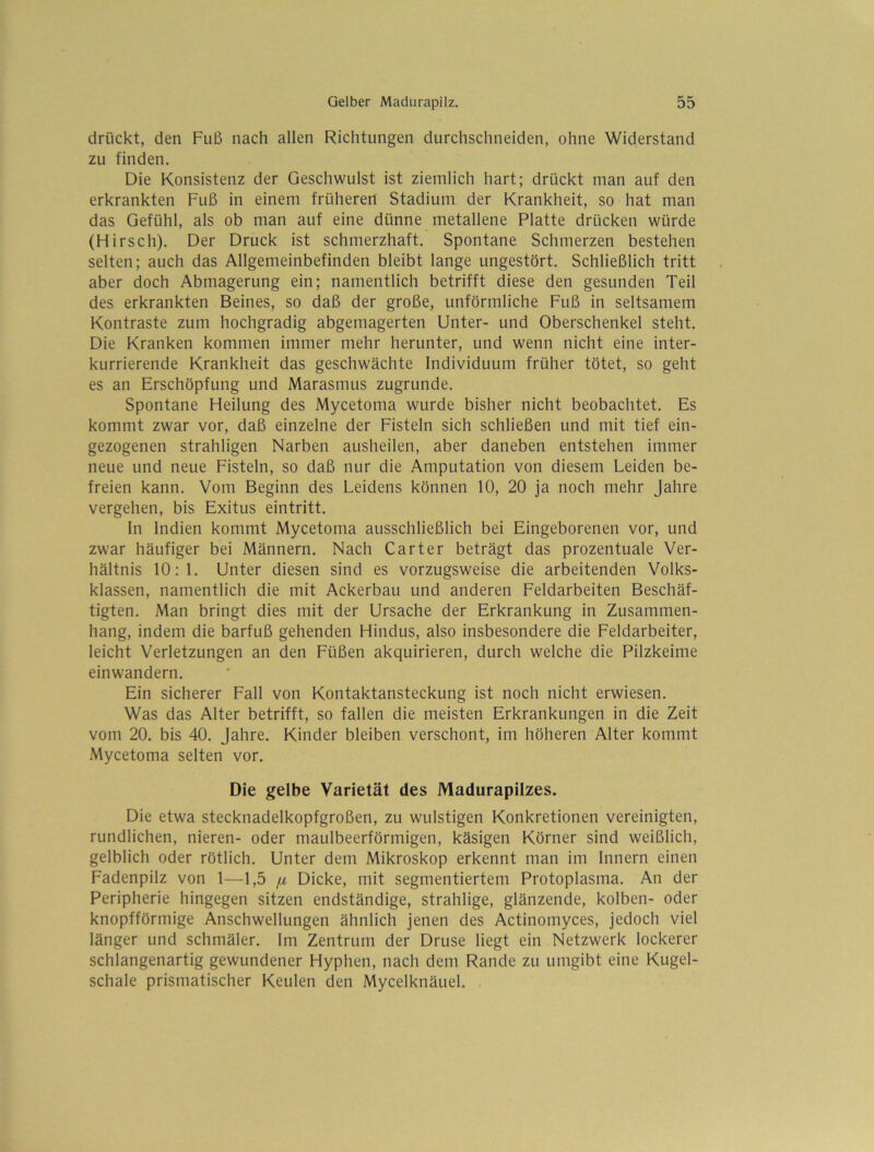 drückt, den Fuß nach allen Richtungen durchschneiden, ohne Widerstand zu finden. Die Konsistenz der Geschwulst ist ziemlich hart; drückt man auf den erkrankten Fuß in einem früheren Stadium der Krankheit, so hat man das Gefühl, als ob man auf eine dünne metallene Platte drücken würde (H irsch). Der Druck ist schmerzhaft. Spontane Schmerzen bestehen selten; auch das Allgemeinbefinden bleibt lange ungestört. Schließlich tritt aber doch Abmagerung ein; namentlich betrifft diese den gesunden Teil des erkrankten Beines, so daß der große, unförmliche Fuß in seltsamem Kontraste zum hochgradig abgemagerten Unter- und Oberschenkel steht. Die Kranken kommen immer mehr herunter, und wenn nicht eine inter- kurrierende Krankheit das geschwächte Individuum früher tötet, so geht es an Erschöpfung und Marasmus zugrunde. Spontane Heilung des Mycetoma wurde bisher nicht beobachtet. Es kommt zwar vor, daß einzelne der Fisteln sich schließen und mit tief ein- gezogenen strahligen Narben ausheilen, aber daneben entstehen immer neue und neue Fisteln, so daß nur die Amputation von diesem Leiden be- freien kann. Vom Beginn des Leidens können 10, 20 ja noch mehr Jahre vergehen, bis Exitus eintritt. ln Indien kommt Mycetoma ausschließlich bei Eingeborenen vor, und zwar häufiger bei Männern. Nach Carter beträgt das prozentuale Ver- hältnis 10:1. Unter diesen sind es vorzugsweise die arbeitenden Volks- klassen, namentlich die mit Ackerbau und anderen Feldarbeiten Beschäf- tigten. Man bringt dies mit der Ursache der Erkrankung in Zusammen- hang, indem die barfuß gehenden Hindus, also insbesondere die Feldarbeiter, leicht Verletzungen an den Füßen akquirieren, durch welche die Pilzkeime einwandern. Ein sicherer Fall von Kontaktansteckung ist noch nicht erwiesen. Was das Alter betrifft, so fallen die meisten Erkrankungen in die Zeit vom 20. bis 40. Jahre. Kinder bleiben verschont, im höheren Alter kommt Mycetoma selten vor. Die gelbe Varietät des Madurapilzes. Die etwa stecknadelkopfgroßen, zu wulstigen Konkretionen vereinigten, rundlichen, nieren- oder maulbeerförmigen, käsigen Körner sind weißlich, gelblich oder rötlich. Unter dem Mikroskop erkennt man im Innern einen Fadenpilz von 1—1,5 fx Dicke, mit segmentiertem Protoplasma. An der Peripherie hingegen sitzen endständige, strahlige, glänzende, kolben- oder knopfförmige Anschwellungen ähnlich jenen des Actinomyces, jedoch viel länger und schmäler. Im Zentrum der Druse liegt ein Netzwerk lockerer schlangenartig gewundener Hyphen, nach dem Rande zu umgibt eine Kugel- schale prismatischer Keulen den Mycelknäuel.