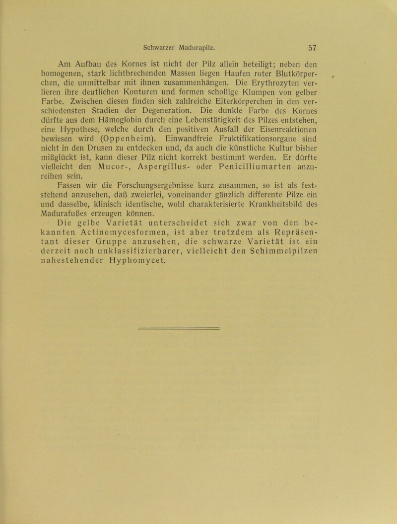 Am Aufbau des Kornes ist nicht der Pilz allein beteiligt; neben den homogenen, stark lichtbrechenden Massen liegen Haufen roter Blutkörper- , chen, die unmittelbar mit ihnen Zusammenhängen. Die Erythrozyten ver- lieren ihre deutlichen Konturen und formen schollige Klumpen von gelber Farbe, Zwischen diesen finden sich zahlreiche Eiterkörperchen in den ver- schiedensten Stadien der Degeneration. Die dunkle Farbe des Kornes dürfte aus dem Hämoglobin durch eine Lebenstätigkeit des Pilzes entstehen, eine Hypothese, welche durch den positiven Ausfall der Eisenreaktionen bewiesen wird (Oppenheim). Einwandfreie Fruktifikationsorgane sind nicht in den Drusen zu entdecken und, da auch die künstliche Kultur bisher mißglückt ist, kann dieser Pilz nicht korrekt bestimmt werden. Er dürfte vielleicht den Mucor-, Aspergillus- oder Penicilliumarten anzu- reihen sein. Fassen wir die Forschungsergebnisse kurz zusammen, so ist als fest- stehend anzusehen, daß zweierlei, voneinander gänzlich differente Pilze ein und dasselbe, klinisch identische, wohl charakterisierte Krankheitsbild des Madurafußes erzeugen können. Die gelbe Varietät unterscheidet sich zwar von den be- kannten Actinomycesformen, ist aber trotzdem als Repräsen- tant dieser Gruppe anzusehen, die schwarze Varietät ist ein derzeit noch unklassifizierbarer, vielleicht den Schimmelpilzen nahestehender Hyphomycet.