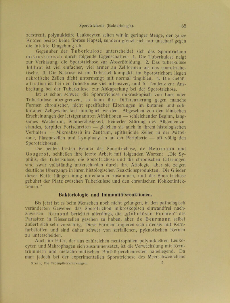 zerstreut, polynukleäre Leukocyten sehen wir in geringer Menge, der ganze Knoten besitzt keine fibröse Kapsel, sondern grenzt sich nur unscharf gegen die intakte Umgebung ab. Gegenüber der Tuberkulose unterscheidet sich das Sporotrichoni mikroskopisch durch folgende Eigenschaften: 1. Die Tuberkulose neigt zur Verkäsung, die Sporotrichose zur Abszeßbildung. 2. Das tuberkulöse Infiltrat ist viel einfacher, viel ärmer an Zellformen als das sporotricho- tische. 3. Die Nekrose ist im Tuberkel kompakt, im Sporotrichoni liegen nekrotische Zellen dicht untermengt mit normal tingiblen. 4. Die Gefäß- alteration ist bei der Tuberkulose viel intensiver, und 5. Tendenz zur Aus- breitung bei der Tuberkulose, zur Abkapselung bei der Sporotrichose. Ist es schon schwer, die Sporotrichose mikroskopisch von Lues oder Tuberkulose abzugrenzen, so kann ihre Differenzierung gegen manche Formen chronischer, nicht spezifischer Eiterungen im kutanen und sub- kutanen Zellgewebe fast unmöglich werden. Abgesehen von den klinischen Erscheinungen der letztgenannten Affektionen — schleichender Beginn, lang- sames Wachstum, Schmerzlosigkeit, keinerlei Störung des Allgemeinzu- standes, torpides Fortschreiten — gleichen sie auch in ihrem histologischen Verhalten — Mikroabszeß im Zentrum, epithelioide Zellen in der Mittel- zone, Plasmazellen und Lymphocyten an der Peripherie —■ oft völlig den Sporotrichosen. Die beiden besten Kenner der Sporotrichose, de Beurmann und Gougerot, schließen ihre letzte Arbeit mit folgenden Worten: ,,Die Sy- philis, die Tuberkulose, die Sporotrichose und die chronischen Eiterungen sind zwar vollständig unterschieden durch ihre Ätiologie, aber sie zeigen deutliche Übergänge in ihren histologischen Reaktionsprodukten. Die Glieder dieser Kette hängen innig miteinander zusammen, und der Sporotrichose gebührt der Platz zwischen Tuberkulose und den chronischen Kokkeninfek- tionen.“ Bakteriologie und Immunitätsreaktionen. Bis jetzt ist es beim Menschen noch nicht gelungen, in den pathologisch veränderten Geweben das Sporotrichon mikroskopisch einwandfrei nach- zuweisen. Ramond berichtet allerdings, die ,,globulösen Formen“ des Parasiten in Riesenzellen gesehen zu haben, aber de Beurmann selbst äußert sich sehr vorsichtig. Diese Formen tingieren sich intensiv mit Kern- farbstoffen und sind daher schwer von zerfallenen, pyknotlschen Kernen zu unterscheiden. Auch im Eiter, der aus zahlreichen neutrophilen polynukleären Leuko- cyten und Makrophagen sich zusammensetzt, ist die Verwechslung mit Kern- trümmern und metachromatischen Blutkörperchenresten naheliegend. Da man jedoch bei der experimentellen Sporotrichose des Meerschweinchens Stein, Die Fadenpiizerkrankungen. 5