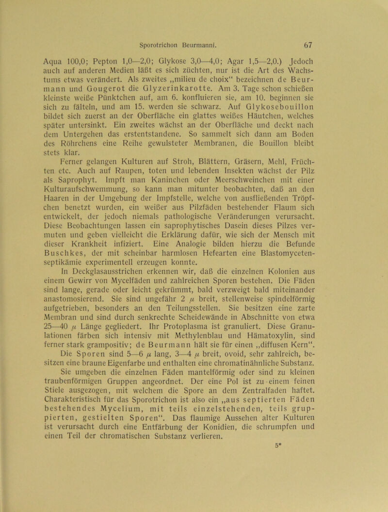Aqua 100,0; Pepton 1,0—2,0; Glykose 3,0—4,0; Agar 1,5—2,0.) Jedoch auch auf anderen Medien läßt es sich züchten, nur ist die Art des Wachs- tums etwas verändert. Als zweites ,,milieu de choix“ bezeichnen de Beur- mann und Gougerot die Glyzerinkarotte. Am 3. Tage schon schießen kleinste weiße Pünktchen auf, am 6. konfluieren sie, am 10. beginnen sie sich zu fälteln, und am 15. werden sie schwarz. Auf Glykosebotiillon bildet sich zuerst an der Oberfläche ein glattes weißes Häutchen, welches später untersinkt. Ein zweites wächst an der Oberfläche und deckt nach dem Untergehen das erstentstandene. So sammelt sich dann am Boden des Röhrchens eine Reihe gewulsteter Membranen, die Bouillon bleibt stets klar. Ferner gelangen Kulturen auf Stroh, Blättern, Gräsern, Mehl, Früch- ten etc. Auch auf Raupen, toten und lebenden Insekten wächst der Pilz als Saprophyt. Impft man Kaninchen oder Meerschweinchen mit einer Kulturaufschwemmung, so kann man mitunter beobachten, daß an den Haaren in der Umgebung der Impfstelle, welche von ausfließenden Tröpf- chen benetzt wurden, ein weißer aus Pilzfäden bestehender Flaum sich entwickelt, der jedoch niemals pathologische Veränderungen verursacht. Diese Beobachtungen lassen ein saprophytisches Dasein dieses Pilzes ver- muten und geben vielleicht die Erklärung dafür, wie sich der Mensch mit dieser Krankheit infiziert. Eine Analogie bilden hierzu die Befunde Buschkes, der mit scheinbar harmlosen Hefearten eine Blastomyceten- septikämie experimentell erzeugen konnte. In Deckglasausstrichen erkennen wir, daß die einzelnen Kolonien aus einem Gewirr von Mycelfäden und zahlreichen Sporen bestehen. Die Fäden sind lange, gerade oder leicht gekrümmt, bald verzweigt bald miteinander anastomosierend. Sie sind ungefähr 2 ^ breit, stellenweise spindelförmig aufgetrieben, besonders an den Teilungsstellen. Sie besitzen eine zarte Membran und sind durch senkrechte Scheidewände in Abschnitte von etwa 25—40 f-i Länge gegliedert. Ihr Protoplasma ist granuliert. Diese Granu- lationen färben sich intensiv mit Methylenblau und Hämatoxylin, sind ferner stark grampositiv; de Beurmann hält sie für einen ,,diffusen Kern“. Die Sporen sind 5—6 lang, 3—4 ^ breit, ovoid, sehr zahlreich, be- sitzen eine braune Eigenfarbe und enthalten eine chromatinähnliche Substanz. Sie umgeben die einzelnen Fäden mantelförmig oder sind zu kleinen traubenförmigen Gruppen angeordnet. Der eine Pol ist zu einem feinen Stiele ausgezogen, mit welchem die Spore an dem Zentralfaden haftet. Charakteristisch für das Sporotrichon ist also ein ,,aus septierten Fäden bestehendes Mycelium, mit teils einzelstehenden, teils grup- pierten, gestielten Sporen“. Das flaumige Aussehen alter Kulturen ist verursacht durch eine Entfärbung der Konidien, die schrumpfen und einen Teil der chromatischen Substanz verlieren. 5*