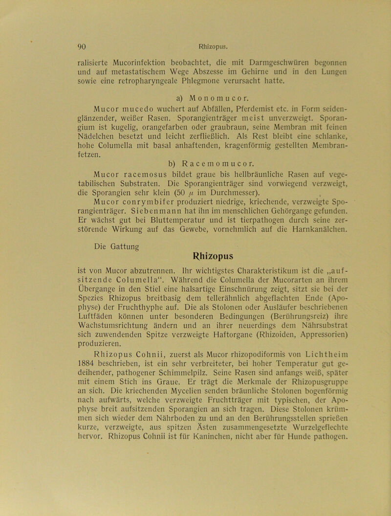 ralisierte Mucorinfektion beobachtet, die mit Darmgeschwüren begonnen und auf metastatischem Wege Abszesse im Gehirne und in den Lungen sowie eine retropharyngeale Phlegmone verursacht hatte, a) Monomucor. Mucor mucedo wuchert auf Abfällen, Pferdemist etc. in Form seiden- glänzender, weißer Rasen. Sporangienträger meist unverzweigt. Sporan- gium ist kugelig, orangefarben oder graubraun, seine Membran mit feinen Nädelchen besetzt und leicht zerfließlich. Als Rest bleibt eine schlanke, hohe Columella mit basal anhaftenden, kragenförmig gestellten Membran- fetzen. b) R a c e m 0 m u c 0 r, Mucor racemosus bildet graue bis hellbräunliche Rasen auf vege- tabilischen Substraten. Die Sporangienträger sind vorwiegend verzweigt, die Sporangien sehr klein (50 fx im Durchmesser). Mucor conrymbifer produziert niedrige, kriechende, verzweigte Spo- rangienträger. Sieben mann hat ihn im menschlichen Gehörgange gefunden. Er wächst gut bei Bluttemperatur und ist tierpathogen durch seine zer- störende Wirkung auf das Gewebe, vornehmlich auf die Harnkanälchen. Die Gattung Rhizopus ist von Mucor abzutrennen. Ihr wichtigstes Charakteristikum ist die ,,auf- sitzende Columella“. Während die Columella der Mucorarten an ihrem Übergange in den Stiel eine halsartige Einschnürung zeigt, sitzt sie bei der Spezies Rhizopus breitbasig dem tellerähnlich abgeflachten Ende (Apo- physe) der Fruchthyphe auf. Die als Stolonen oder Ausläufer beschriebenen Luftfäden können unter besonderen Bedingungen (Berührungsreiz) ihre Wachstumsrichtung ändern und an ihrer neuerdings dem Nährsubstrat sich zuwendenden Spitze verzweigte Haftorgane (Rhizoiden, Appressorien) produzieren. Rhizopus Cohnii, zuerst als Mucor rhizopodiformis von Lichtheim 1884 beschrieben, ist ein sehr verbreiteter, bei hoher Temperatur gut ge- deihender, pathogener Schimmelpilz. Seine Rasen sind anfangs weiß, später mit einem Stich ins Graue. Er trägt die Merkmale der Rhizopusgruppe an sich. Die kriechenden Mycelien senden bräunliche Stolonen bogenförmig nach aufwärts, welche verzweigte Fruchtträger mit typischen, der Apo- physe breit aufsitzenden Sporangien an sich tragen. Diese Stolonen krüm- men sich wieder dem Nährboden zu und an den Berührungsstellen sprießen kurze, verzweigte, aus spitzen Ästen zusammengesetzte Wurzelgeflechte hervor. Rhizopus Cohnii ist für Kaninchen, nicht aber für Hunde pathogen.