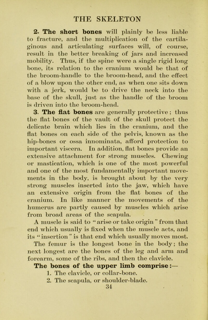 2. The short bones will plainly be less liable to fracture, and the multiplication of the cartila- ginous and articulating surfaces will, of course, result in the better breaking of jars and increased mobility. Thus, if the spine were a single rigid long bone, its relation to the cranium would be that of the broom-handle to the broom-head, and the effect of a blow upon the other end, as when one sits down with a jerk, would be to drive the neck into the base of the skull, just as the handle of the broom is driven into the broom-head. 3. The flat bones are generally protective ; thus the flat bones of the vault of the skull protect the delicate brain which lies in the cranium, and the flat bones on each side of the pelvis, known as the hip-bones or ossa innominata, afford protection to important viscera. In addition, flat bones provide an extensive attachment for strong muscles. Chewing or mastication, which is one of the most powerful and one of the most fundamentally important move- ments in the body, is brought about by the very strong muscles inserted into the jaw, which have an extensive origin from the flat bones of the cranium. In like manner the movements of the humerus are partly caused by muscles which arise from broad areas of the scapula. A muscle is said to “ arise or take origin ” from that end which usually is fixed when the muscle acts, and its “ insertion ” is that end which usually moves most. The femur is the longest bone in the body; the next longest are the bones of the leg and arm and forearm, some of the ribs, and then the clavicle. The bones of the upper limb comprise:— 1. The clavicle, or collar-bone. 2. The scapula, or shoulder-blade.