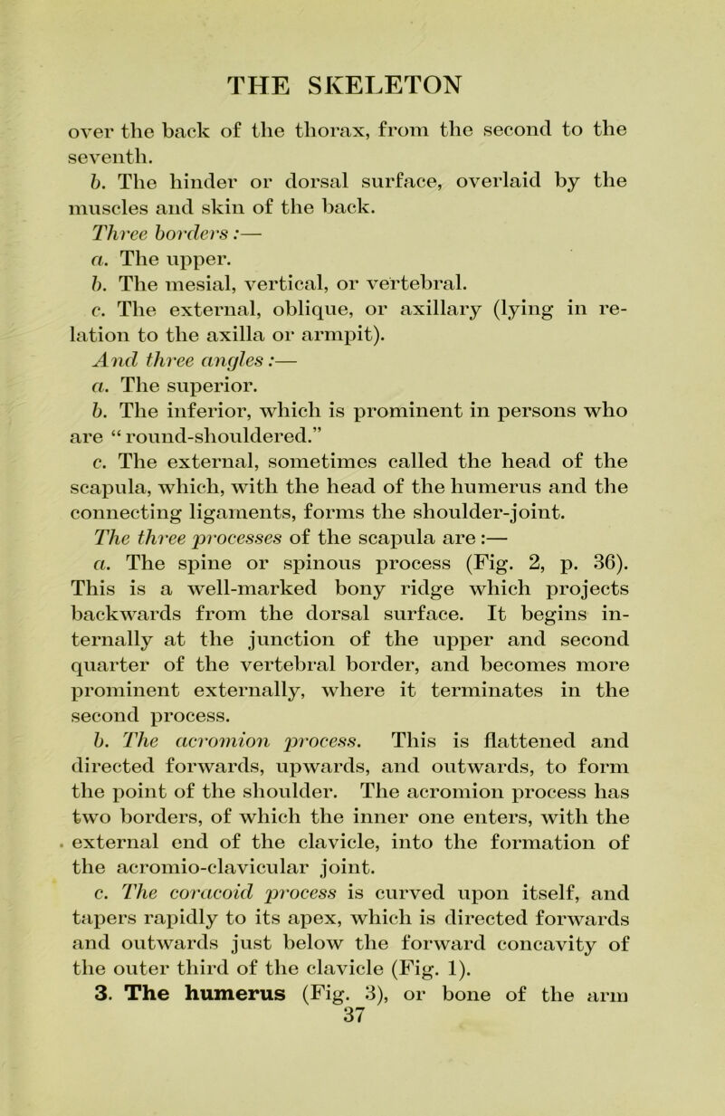 over the back of the thorax, from the second to the seventh. b. The hinder or dorsal surface, overlaid by the muscles and skin of the back. Three borders:— a. The upper. b. The mesial, vertical, or vertebral. c. The external, oblique, or axillary (lying in re- lation to the axilla or armpit). And three angles:— a. The superior. b. The inferior, which is prominent in persons who are “ round-shouldered.” c. The external, sometimes called the head of the scapula, which, with the head of the humerus and the connecting ligaments, forms the shoulder-joint. The three processes of the scapula are :— a. The spine or spinous process (Fig. 2, p. 36). This is a well-marked bony ridge which projects backwards from the dorsal surface. It begins in- ternally at the junction of the upper and second quarter of the vertebral border, and becomes more prominent externally, where it terminates in the second process. b. The acromion process. This is flattened and directed forwards, upwards, and outwards, to form the point of the shoulder. The acromion process has two borders, of which the inner one enters, with the . external end of the clavicle, into the formation of the acromio-clavicular joint. c. The coracoid process is curved upon itself, and tapers rapidly to its apex, which is directed forwards and outwards just helow the forward concavity of the outer third of the clavicle (Fig. 1). 3. The humerus (Fig. 3), or bone of the arm