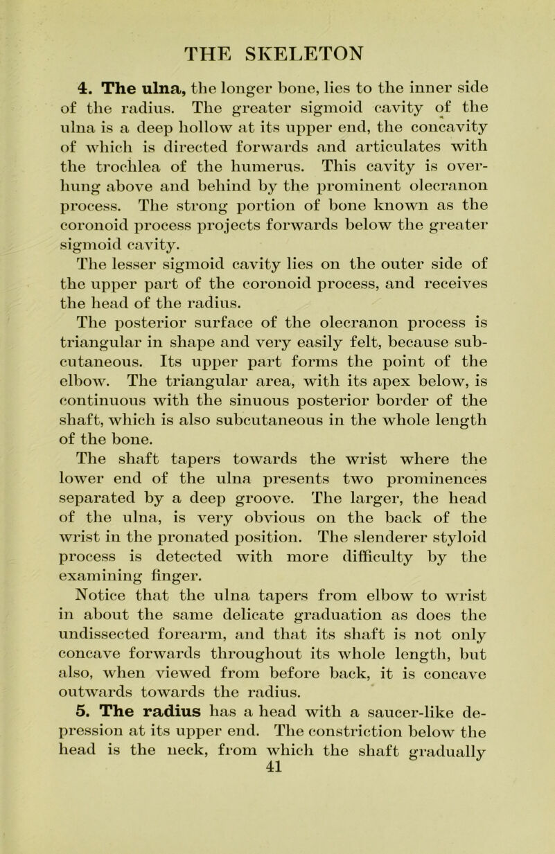 4. The ulna, the longer bone, lies to the inner side of the radius. The greater sigmoid cavity of the ulna is a deep hollow at its upper end, the concavity of which is directed forwards and articulates with the trochlea of the humerus. This cavity is over- hung above and behind by the prominent olecranon process. The strong portion of bone known as the coronoid process projects forwards below the greater sigmoid cavity. The lesser sigmoid cavity lies on the outer side of the upper part of the coronoid process, and receives the head of the radius. The posterior surface of the olecranon x>rocess is triangular in shape and very easily felt, because sub- cutaneous. Its upper part forms the point of the elbow. The triangular area, with its apex below, is continuous with the sinuous posterior border of the shaft, which is also subcutaneous in the whole length of the bone. The shaft tapers towards the wrist where the lower end of the ulna presents two prominences separated by a deep groove. The larger, the head of the ulna, is very obvious on the back of the wrist in the pronated position. The slenderer styloid process is detected with more difficulty by the examining finger. Notice that the ulna tapers from elbow to wrist in about the same delicate graduation as does the undissected forearm, and that its shaft is not only concave forwards throughout its whole length, but also, when viewed from before back, it is concave outwards towards the radius. 5. The radius has a head with a saucer-like de- pression at its upper end. The constriction below the head is the neck, from which the shaft gradually