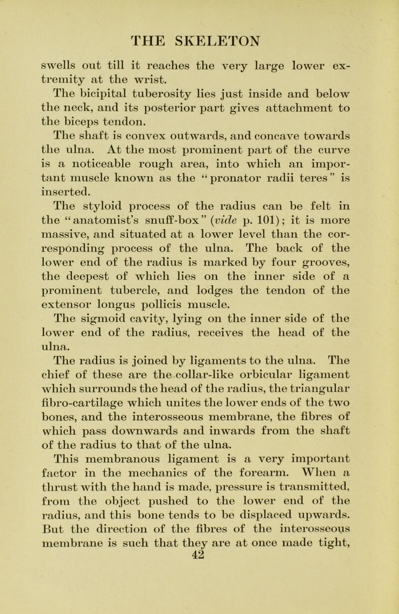 swells out till it reaches the very large lower ex- tremity at the wrist. The bicipital tuberosity lies just inside and below the neck, and its posterior part gives attachment to the biceps tendon. The shaft is convex outwards, and concave towards the ulna. At the most prominent part of the curve is a noticeable rough area, into which an impor- tant muscle known as the “ pronator radii teres ” is inserted. The styloid process of the radius can be felt in the “anatomist’s snuff-box” (vide p. 101); it is more massive, and situated at a lower level than the cor- responding process of the ulna. The back of the lower end of the radius is marked by four grooves, the deepest of which lies on the inner side of a prominent tubercle, and lodges the tendon of the extensor longus pollicis muscle. The sigmoid cavity, lying on the inner side of the lower end of the radius, receives the head of the ulna. The radius is joined by ligaments to the ulna. The chief of these are the collar-like orbicular ligament which surrounds the head of the radius, the triangular fibro-cartilage which unites the lower ends of the two bones, and the interosseous membrane, the fibres of which pass downwards and inwards from the shaft of the radius to that of the ulna. This membranous ligament is a very important factor in the mechanics of the forearm. When a thrust with the hand is made, pressure is transmitted, from the object pushed to the lower end of the radius, and this bone tends to be displaced upwards. But the direction of the fibres of the interosseous membrane is such that they are at once made tight,