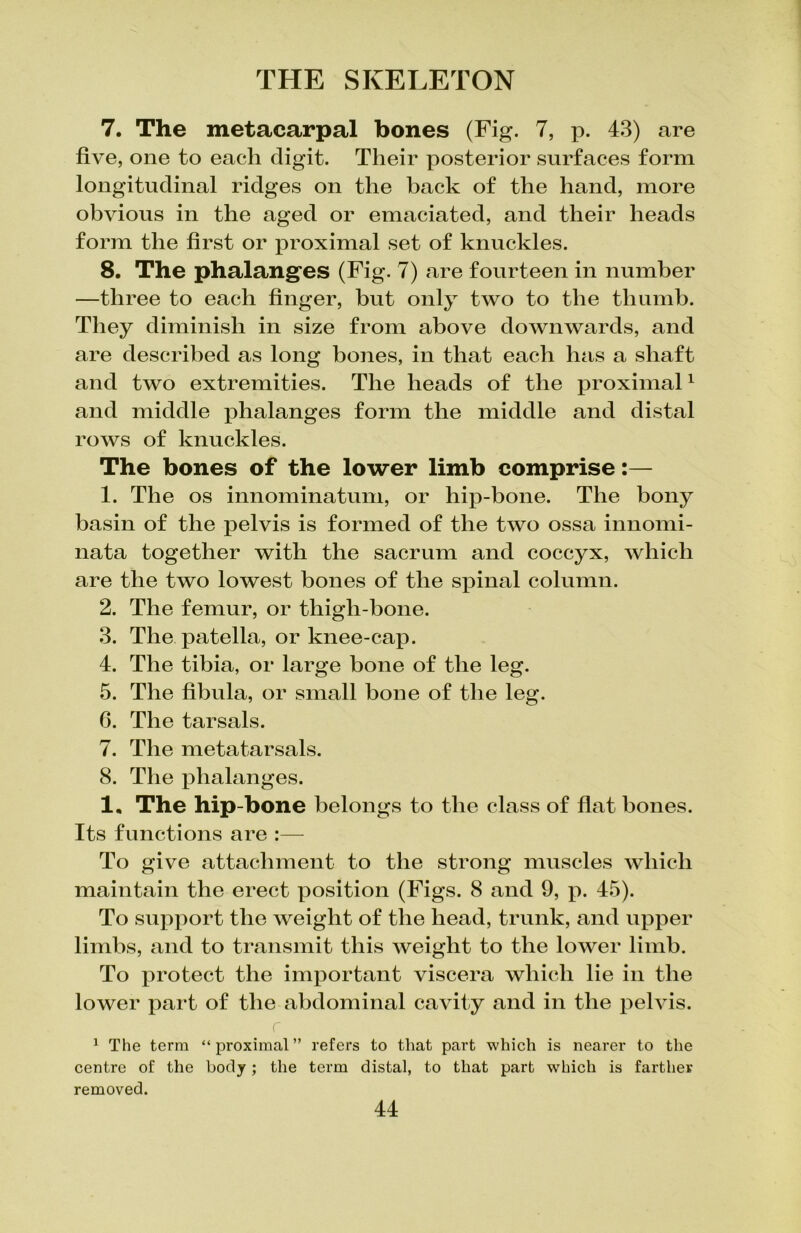 7. The metacarpal bones (Fig. 7, p. 43) are five, one to each digit. Their posterior surfaces form longitudinal ridges on the back of the hand, more obvious in the aged or emaciated, and their heads form the first or proximal set of knuckles. 8. The phalanges (Fig. 7) are fourteen in number —three to each finger, but only two to the thumb. They diminish in size from above downwards, and are described as long bones, in that each has a shaft and two extremities. The heads of the proximal1 and middle phalanges form the middle and distal rows of knuckles. The bones of the lower limb comprise:— 1. The os innominatum, or hip-bone. The bony basin of the pelvis is formed of the two ossa innomi- nata together with the sacrum and coccyx, which are the two lowest bones of the spinal column. 2. The femur, or thigh-bone. 3. The patella, or knee-cap. 4. The tibia, or large bone of the leg. 5. The fibula, or small bone of the leg. G. The tarsals. 7. The metatarsals. 8. The phalanges. 1. The hip-bone belongs to the class of flat hones. Its functions are :— To give attachment to the strong muscles which maintain the erect position (Figs. 8 and 9, p. 45). To support the weight of the head, trunk, and upper limbs, and to transmit this weight to the lower limb. To protect the important viscera which lie in the lower part of the abdominal cavity and in the pelvis. r 1 The terra “ proximal ” refers to that part which is nearer to the centre of the body; the term distal, to that part which is farther removed.