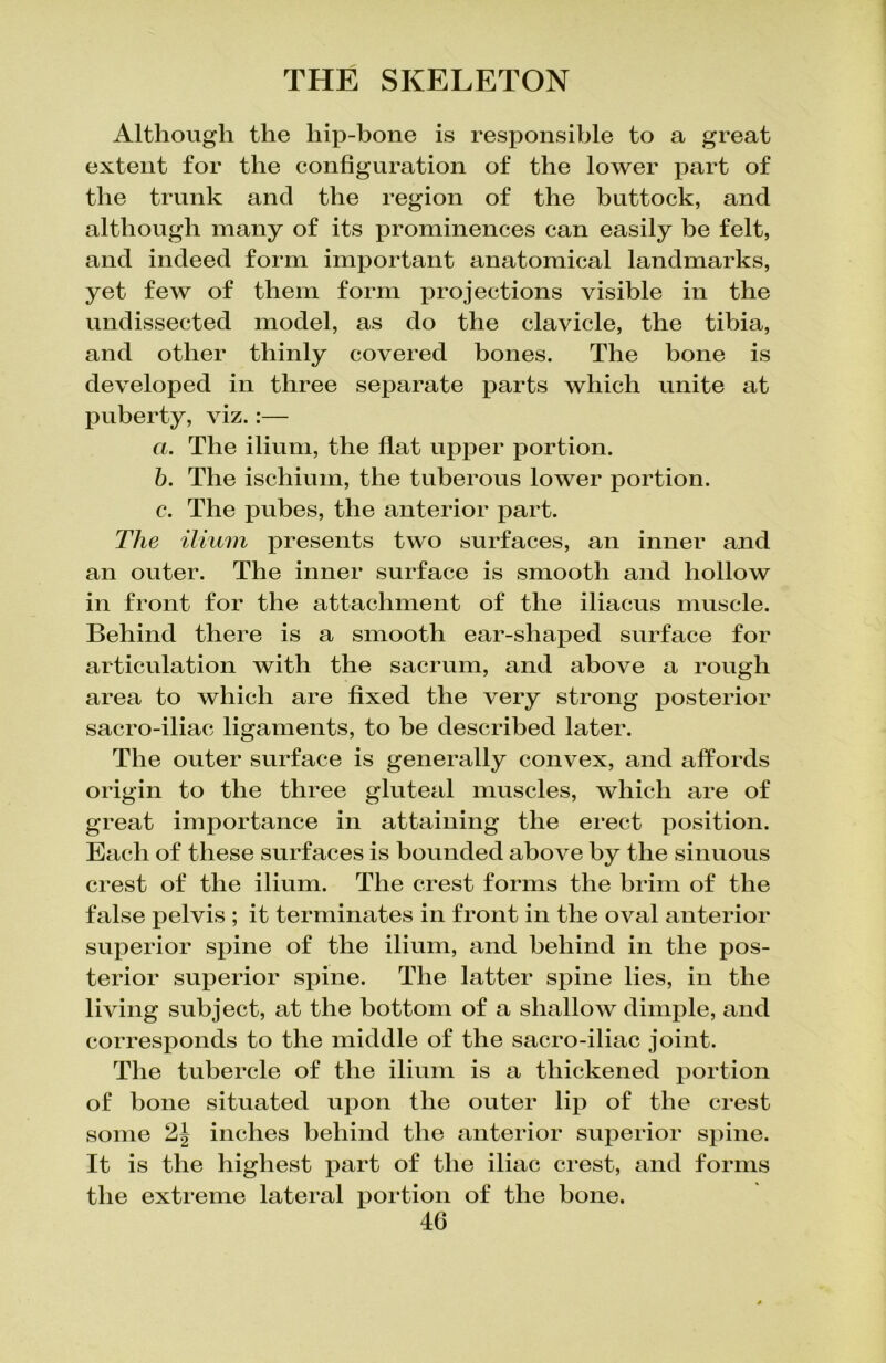 Although the hip-bone is responsible to a great extent for the configuration of the lower part of the trunk and the region of the buttock, and although many of its prominences can easily be felt, and indeed form important anatomical landmarks, yet few of them form projections visible in the undissected model, as do the clavicle, the tibia, and other thinly covered bones. The bone is developed in three separate parts which unite at puberty, viz.:— a. The ilium, the flat upper portion. b. The ischium, the tuberous lower portion. c. The xDubes, the anterior part. The ilium presents two surfaces, an inner and an outer. The inner surface is smooth and hollow in front for the attachment of the iliacus muscle. Behind there is a smooth ear-shaped surface for articulation with the sacrum, and above a rough area to which are fixed the very strong posterior sacro-iliac ligaments, to be described later. The outer surface is generally convex, and affords origin to the three gluteal muscles, which are of great importance in attaining the erect position. Each of these surfaces is bounded above by the sinuous crest of the ilium. The crest forms the brim of the false pelvis ; it terminates in front in the oval anterior superior spine of the ilium, and behind in the pos- terior superior spine. The latter spine lies, in the living subject, at the bottom of a shallow dimple, and corresponds to the middle of the sacro-iliac joint. The tubercle of the ilium is a thickened portion of hone situated upon the outer lip of the crest some inches behind the anterior superior spine. It is the highest part of the iliac crest, and forms the extreme lateral portion of the hone. 40