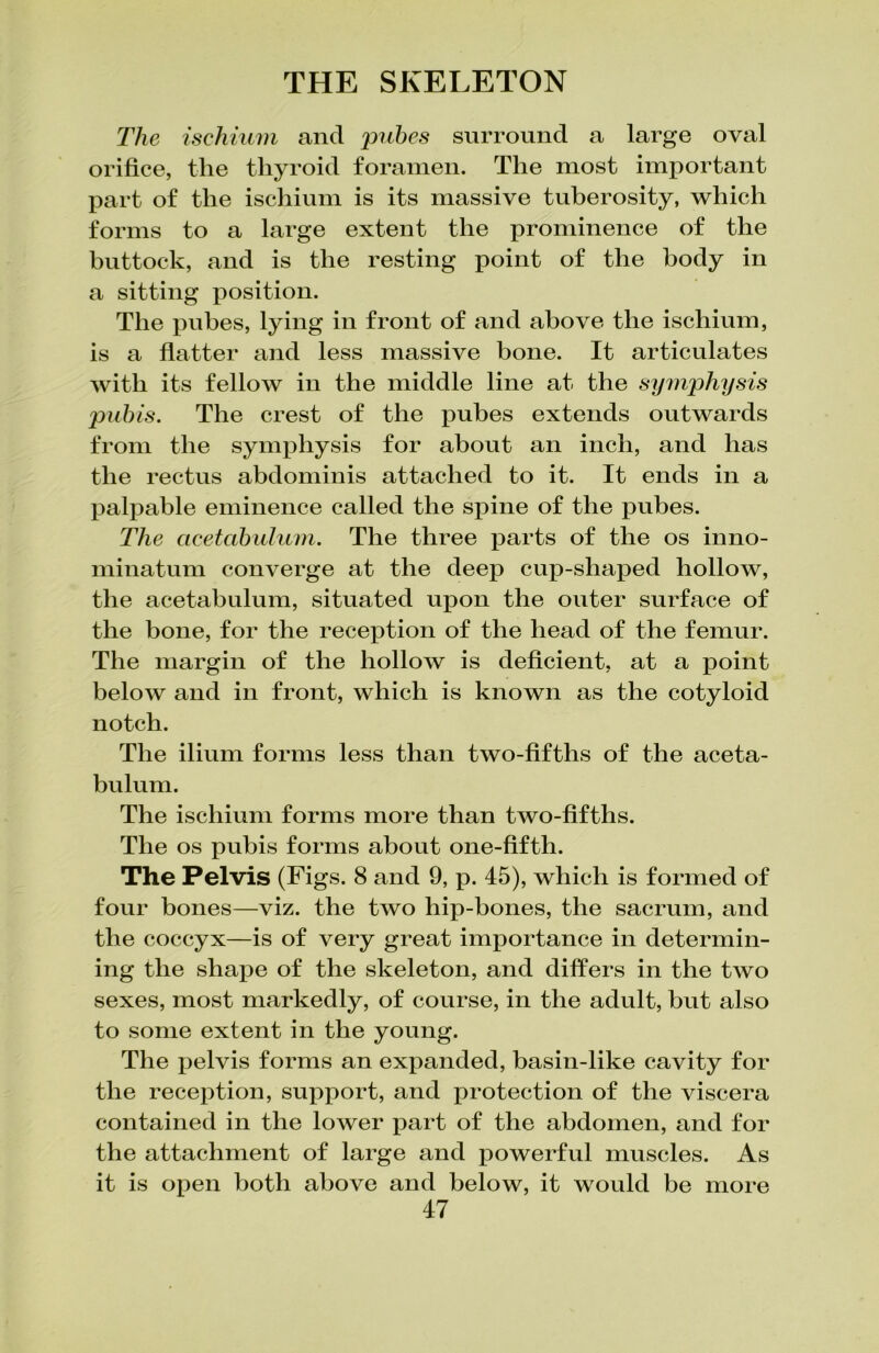 The ischium and pubes surround a large oval orifice, the thyroid foramen. The most important part of the ischium is its massive tuberosity, which forms to a large extent the prominence of the buttock, and is the resting point of the body in a sitting position. The pubes, lying in front of and above the ischium, is a flatter and less massive bone. It articulates with its fellow in the middle line at the symphysis pubis. The crest of the pubes extends outwards from the symphysis for about an inch, and has the rectus abdominis attached to it. It ends in a palpable eminence called the spine of the pubes. The acetabulum. The three parts of the os inno- minatum converge at the deep cup-shaped hollow, the acetabulum, situated upon the outer surface of the bone, for the reception of the head of the femur. The margin of the hollow is deficient, at a point below and in front, which is known as the cotyloid notch. The ilium forms less than two-fifths of the aceta- bulum. The ischium forms more than two-fifths. The os pubis forms about one-fifth. The Pelvis (Figs. 8 and 9, p. 45), which is formed of four bones—viz. the two hip-bones, the sacrum, and the coccyx—is of very great importance in determin- ing the shape of the skeleton, and differs in the two sexes, most markedly, of course, in the adult, but also to some extent in the young. The pelvis forms an expanded, basin-like cavity for the reception, support, and protection of the viscera contained in the lower part of the abdomen, and for the attachment of large and powerful muscles. As it is open both above and below, it would be more