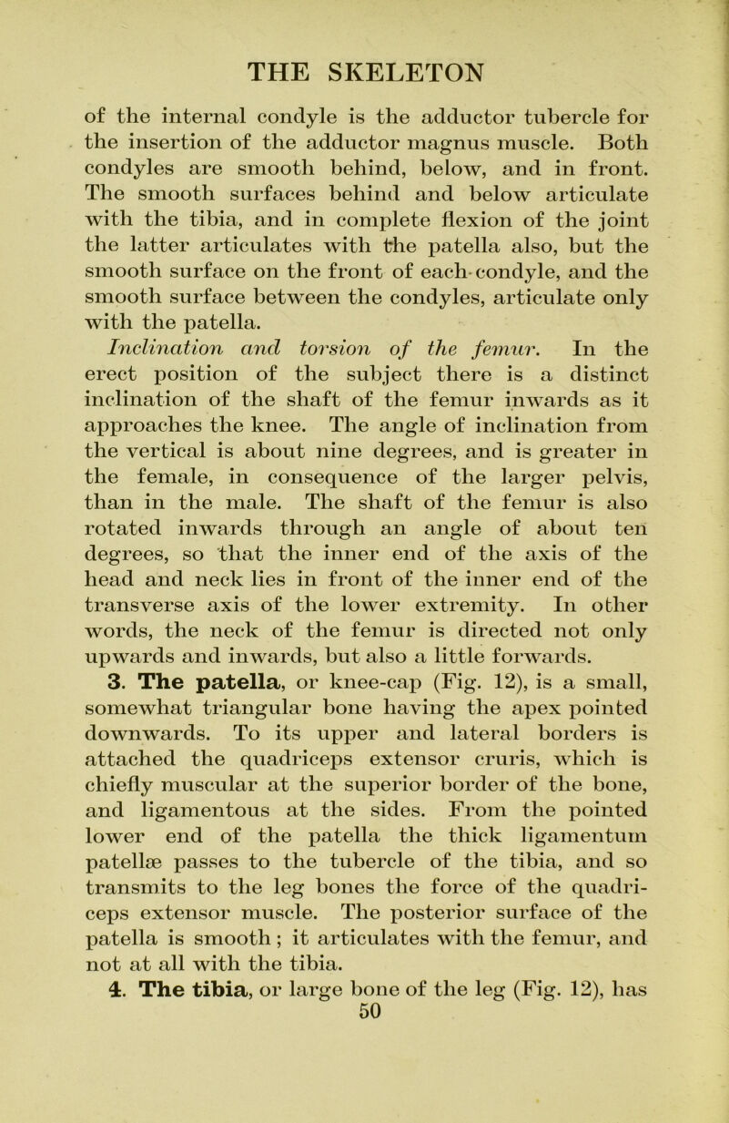 of the internal condyle is the adductor tubercle for the insertion of the adductor magnus muscle. Both condyles are smooth behind, below, and in front. The smooth surfaces behind and below articulate with the tibia, and in complete flexion of the joint the latter articulates with the patella also, but the smooth surface on the front of each condyle, and the smooth surface between the condyles, articulate only with the patella. Inclination cincl torsion of the femur. In the erect position of the subject there is a distinct inclination of the shaft of the femur inwards as it approaches the knee. The angle of inclination from the vertical is about nine degrees, and is greater in the female, in consequence of the larger pelvis, than in the male. The shaft of the femur is also rotated inwards through an angle of about ten degrees, so that the inner end of the axis of the head and neck lies in front of the inner end of the transverse axis of the lower extremity. In other words, the neck of the femur is directed not only upwards and inwards, but also a little forwards. 3. The patella, or knee-cap (Fig. 12), is a small, somewhat triangular bone having the apex pointed downwards. To its upper and lateral borders is attached the quadriceps extensor cruris, which is chiefly muscular at the superior border of the bone, and ligamentous at the sides. From the pointed lower end of the patella the thick ligamentum patellae passes to the tubercle of the tibia, and so transmits to the leg hones the force of the quadri- ceps extensor muscle. The posterior surface of the patella is smooth ; it articulates with the femur, and not at all with the tibia. 4. The tibia, or large hone of the leg (Fig. 12), has