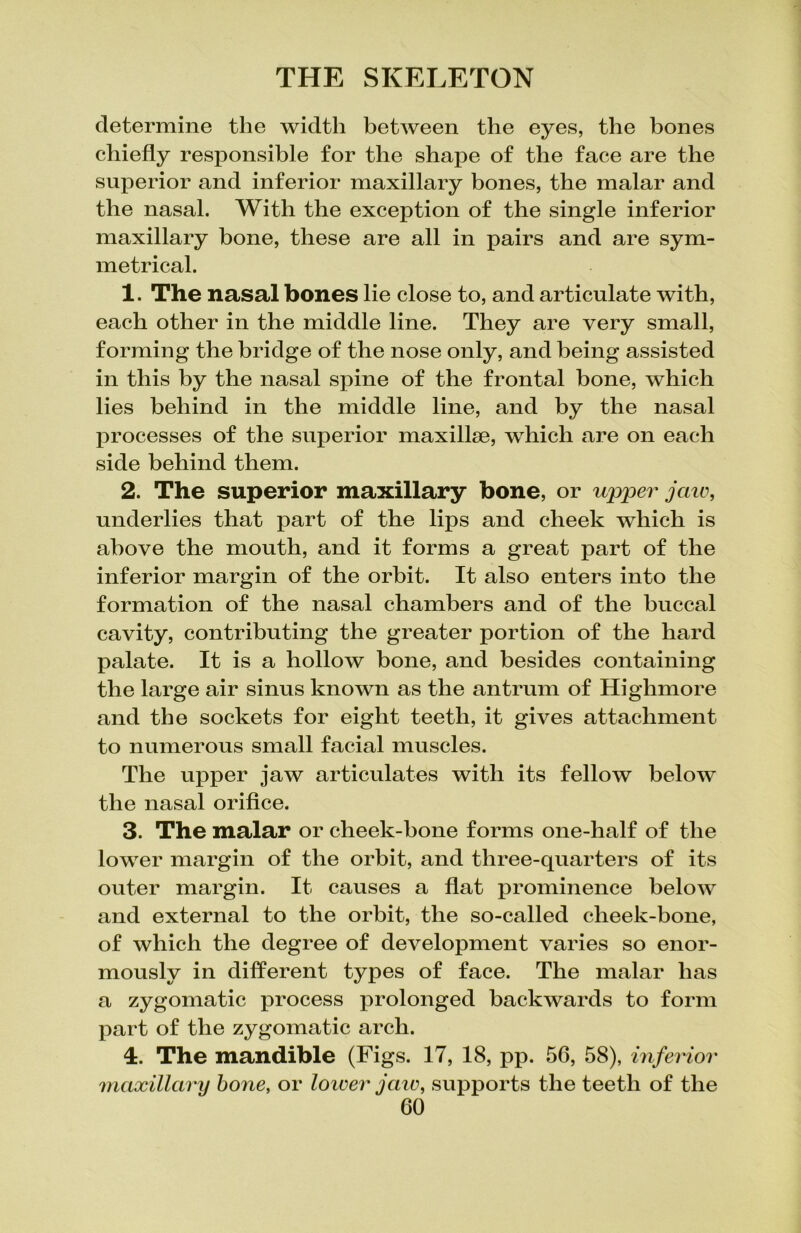 determine the width between the eyes, the bones chiefly responsible for the shape of the face are the superior and inferior maxillary bones, the malar and the nasal. With the exception of the single inferior maxillary bone, these are all in pairs and are sym- metrical. 1. The nasal bones lie close to, and articulate with, each other in the middle line. They are very small, forming the bridge of the nose only, and being assisted in this by the nasal spine of the frontal bone, which lies behind in the middle line, and by the nasal j)rocesses of the superior maxillae, wThich are on each side behind them. 2. The superior maxillary bone, or upper jaw, underlies that part of the lips and cheek wdiich is above the mouth, and it forms a great part of the inferior margin of the orbit. It also enters into the formation of the nasal chambers and of the buccal cavity, contributing the greater portion of the hard palate. It is a hollow bone, and besides containing the large air sinus known as the antrum of Highmore and the sockets for eight teeth, it gives attachment to numerous small facial muscles. The upper jaw articulates with its fellow below the nasal orifice. 3. The malar or cheek-bone forms one-half of the lower margin of the orbit, and three-quarters of its outer margin. It causes a flat prominence below and external to the orbit, the so-called cheek-bone, of which the degree of development varies so enor- mously in different types of face. The malar has a zygomatic process prolonged backwards to form part of the zygomatic arch. 4. The mandible (Figs. 17, 18, pp. 56, 58), inferior maxillary bone, or lower jaw, supports the teeth of the