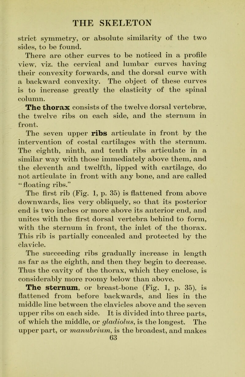 strict symmetry, or absolute similarity of the two sides, to be found. There are other curves to be noticed in a profile view, viz. the cervical and lumbar curves having their convexity forwards, and the dorsal curve with a backward convexity. The object of these curves is to increase greatly the elasticity of the spinal column. The thorax consists of the twelve dorsal vertebrae, the twelve ribs on each side, and the sternum in front. The seven upper ribs articulate in front by the intervention of costal cartilages with the sternum. The eighth, ninth, and tenth ribs articulate in a similar way with those immediately above them, and the eleventh and twelfth, lipped with cartilage, do not articulate in front with any bone, and are called “ floating ribs.” The first rib (Fig. 1, p. 35) is flattened from above downwards, lies very obliquely, so that its posterior end is two inches or more above its anterior end, and unites with the first dorsal vertebra behind to form, with the sternum in front, the inlet of the thorax. This rib is partially concealed and protected by the clavicle. The succeeding ribs gradually increase in length as far as the eighth, and then they begin to decrease. Thus the cavity of the thorax, which they enclose, is considerably more roomy below than above. The sternum, or breast-bone (Fig. 1, p. 35), is flattened from before backwards, and lies in the middle line between the clavicles above and the seven upper ribs on each side. It is divided into three parts, of which the middle, or gladiolus, is the longest. The upper part, or manubrium, is the broadest, and makes