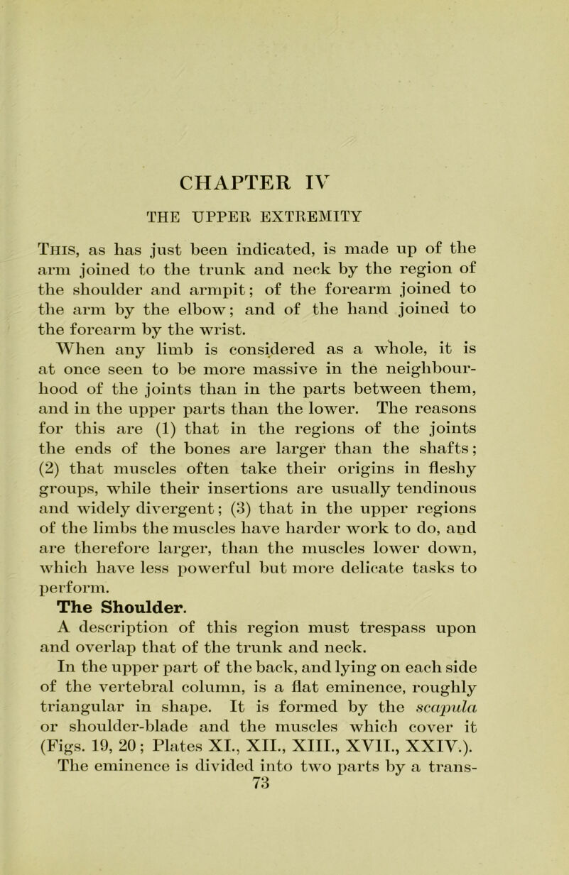 THE UPPER EXTREMITY This, as has just been indicated, is made up of the arm joined to the trunk and neck by the region of the shoulder and armpit; of the forearm joined to the arm by the elbow; and of the hand joined to the forearm by the wrist. When any limb is considered as a whole, it is at once seen to be more massive in the neighbour- hood of the joints than in the parts between them, and in the upper parts than the lower. The reasons for this are (1) that in the regions of the joints the ends of the bones are larger than the shafts; (2) that muscles often take their origins in fleshy groups, while their insertions are usually tendinous and widely divergent; (3) that in the upper regions of the limbs the muscles have harder work to do, and are therefore larger, than the muscles lower down, which have less powerful but more delicate tasks to perform. The Shoulder. A description of this region must trespass upon and overlap that of the trunk and neck. In the upper part of the back, and lying on each side of the vertebral column, is a flat eminence, roughly triangular in shape. It is formed by the scapula or shoulder-blade and the muscles which cover it (Figs. 19, 20; Plates XI., XII., XIII., XVII., XXIV.). The eminence is divided into two parts by a trans-