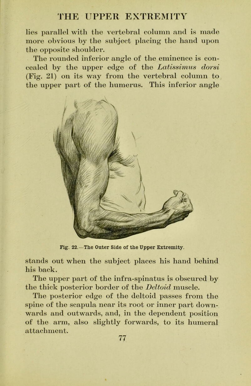 lies parallel with the vertebral column and is made more obvious by the subject placing the hand upon the opposite shoulder. The rounded inferior angle of the eminence is con- cealed by the upper edge of the Lcitissimus dovsi (Fig. 21) on its way from the vertebral column to the upper part of the humerus. This inferior angle Fig. 22.— The Outer Side of the Upper Extremity. stands out when the subject {daces his hand behind his back. The upper part of the infra-spinatus is obscured by the thick posterior border of the Deltoid muscle. The posterior edge of the deltoid passes from the spine of the scapula near its root or inner part down- wards and outwards, and, in the dependent position of the arm, also slightly forwards, to its humeral attachment.