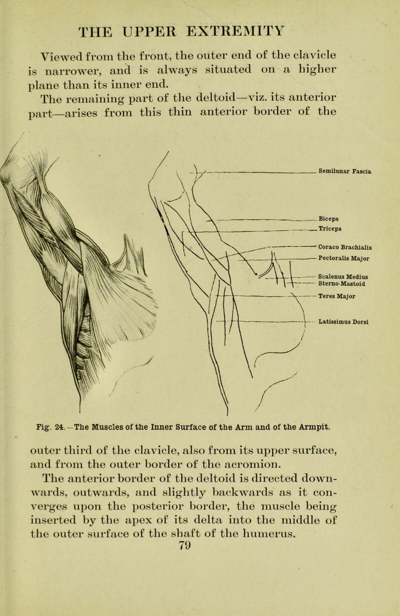 Viewed from the front, the outer end of the clavicle is narrower, and is always situated on a higher plane than its inner end. The remaining part of the deltoid—viz. its anterior part—arises from this thin anterior border of the Semilunar Fascia Biceps Triceps Coraco Brachialis Pectoralis Major Scalenus Medius Sterno-Mastoid — Teres Major Latissimus Dorsi Fig. 24. —The Muscles of the Inner Surface of the Arm and of the Armpit. outer third of the clavicle, also from its upper surface, and from the outer border of the acromion. The anterior border of the deltoid is directed down- wards, outwards, and slightly backwards as it con- verges upon the posterior border, the muscle being inserted by the apex of its delta into the middle of the outer surface of the shaft of the humerus.